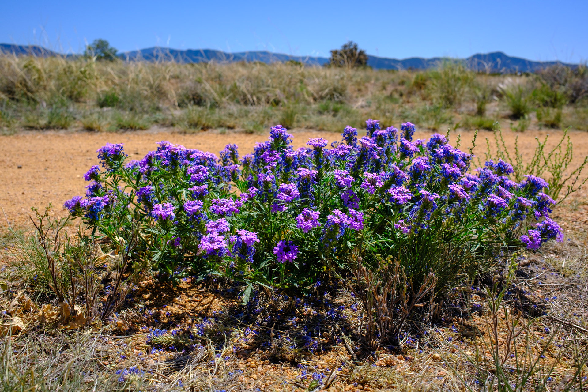 Santa Fe Rail Trail