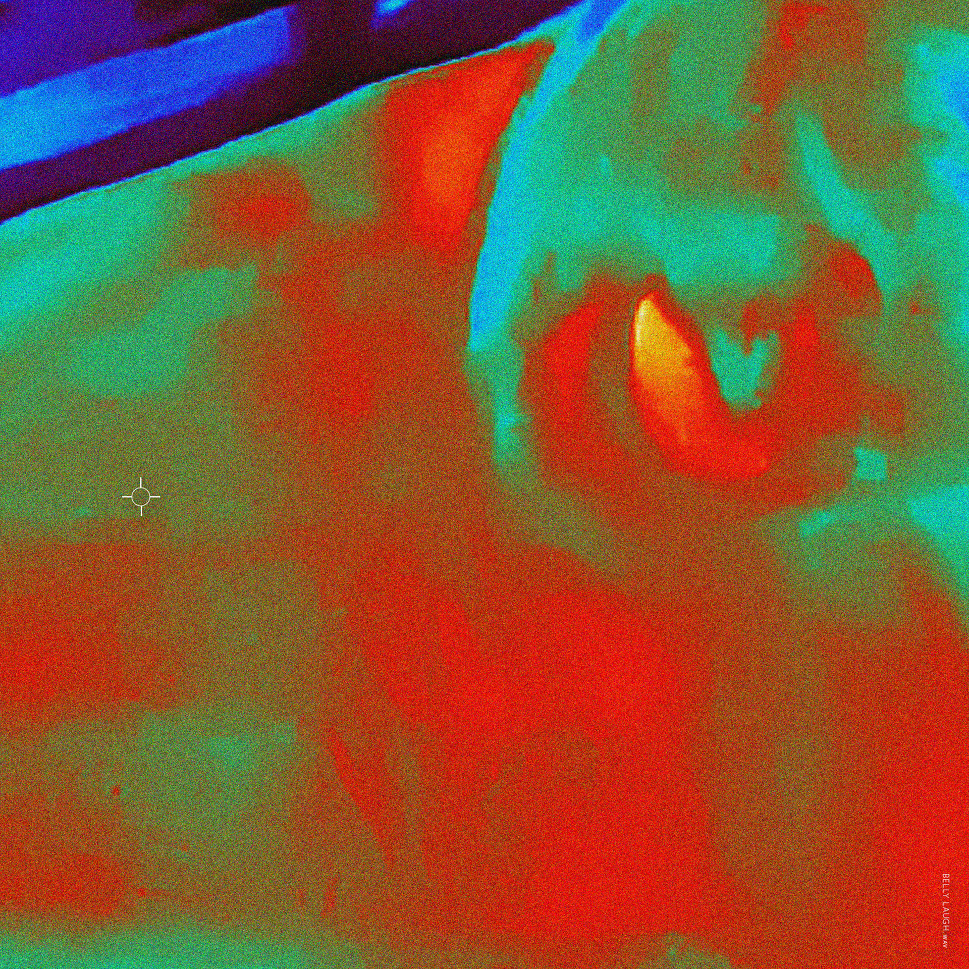 Belly Laugh Single Artwork