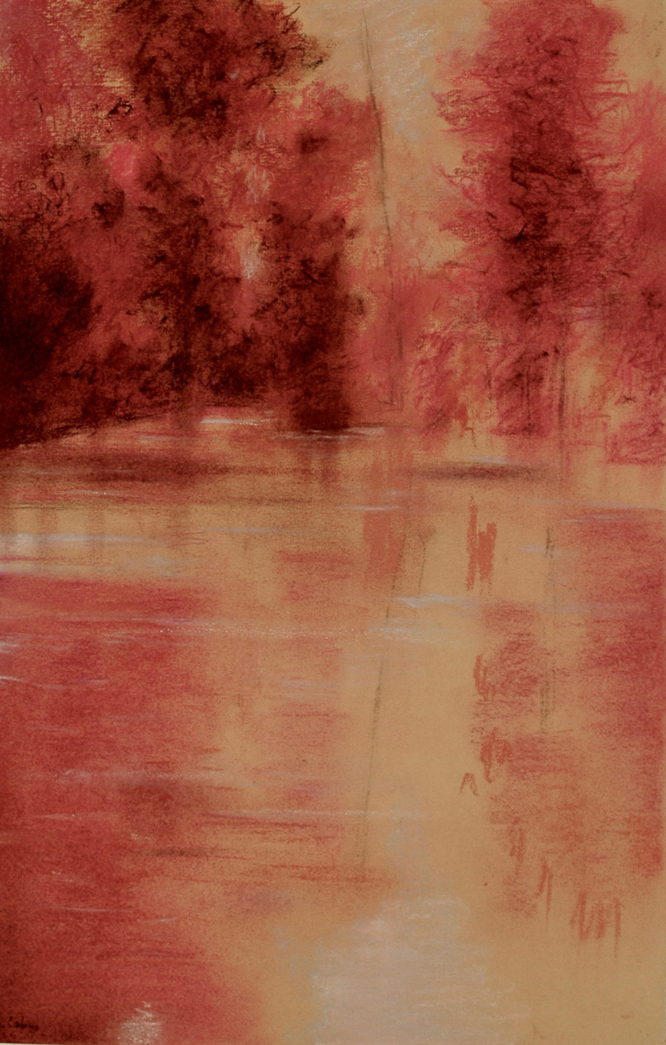 pastel-50X65cms-208—vendu à Anne et Sylvain Arlot.Ajouter une description…