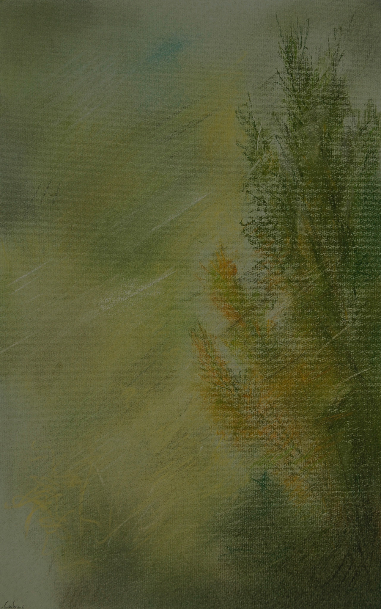 Pastels-2006/2008-
JPEG FINE-M-O.18/70
200 isos-B.des B.ombre+3-
optimisation+nette- ouverture 7,1- format 50/30cms-
grand beau temps 
10heures . Marly le Roi .