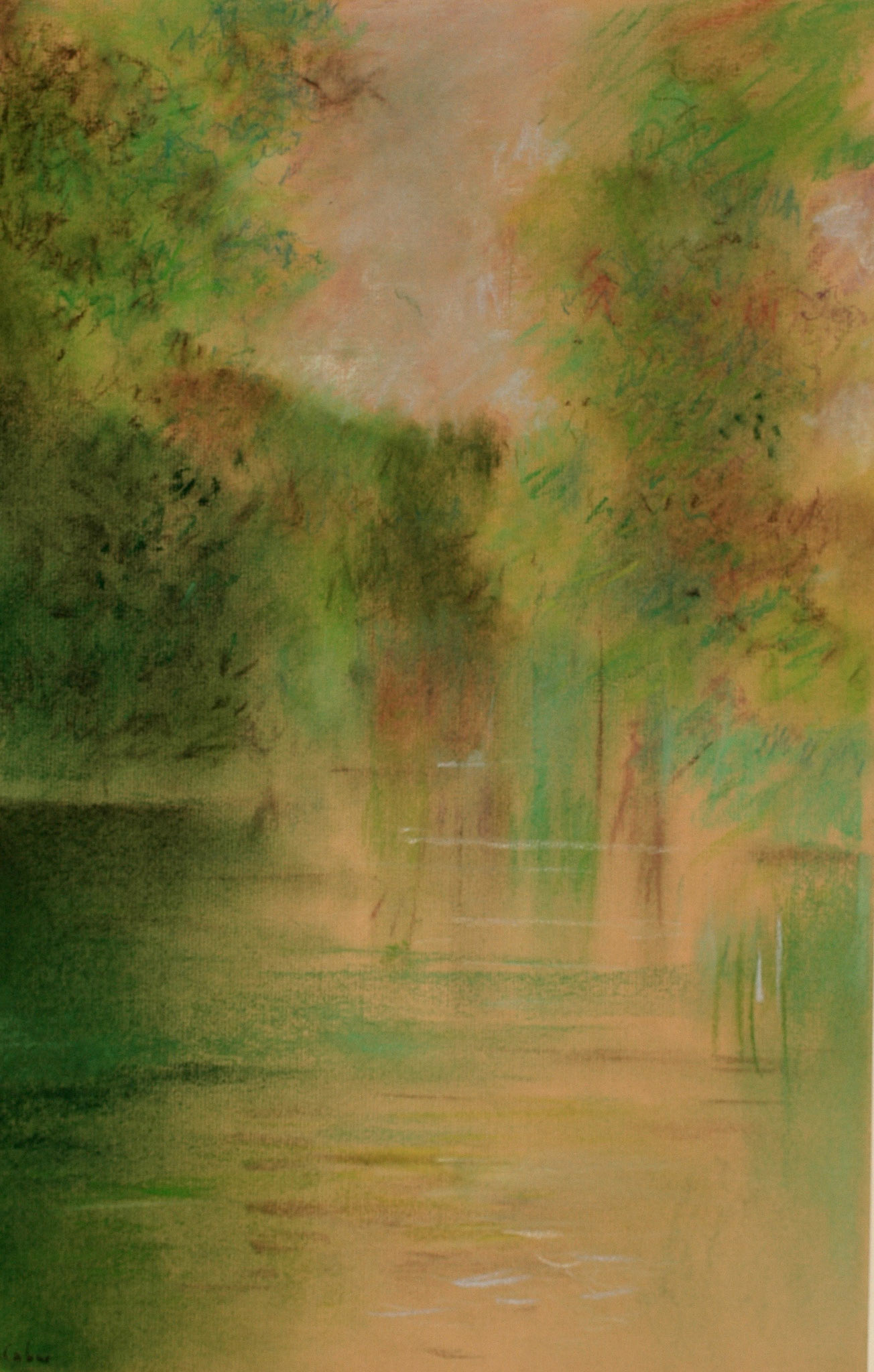 Pastels-2006/2008-
JPEG FINE-M-200 isos-
O.sigma macro-B. des B.
ombre+3-optimisation+nette
ouverture 7,1- format 50/30cms-
grand beau temps 
16heures . Marais Poitevin .