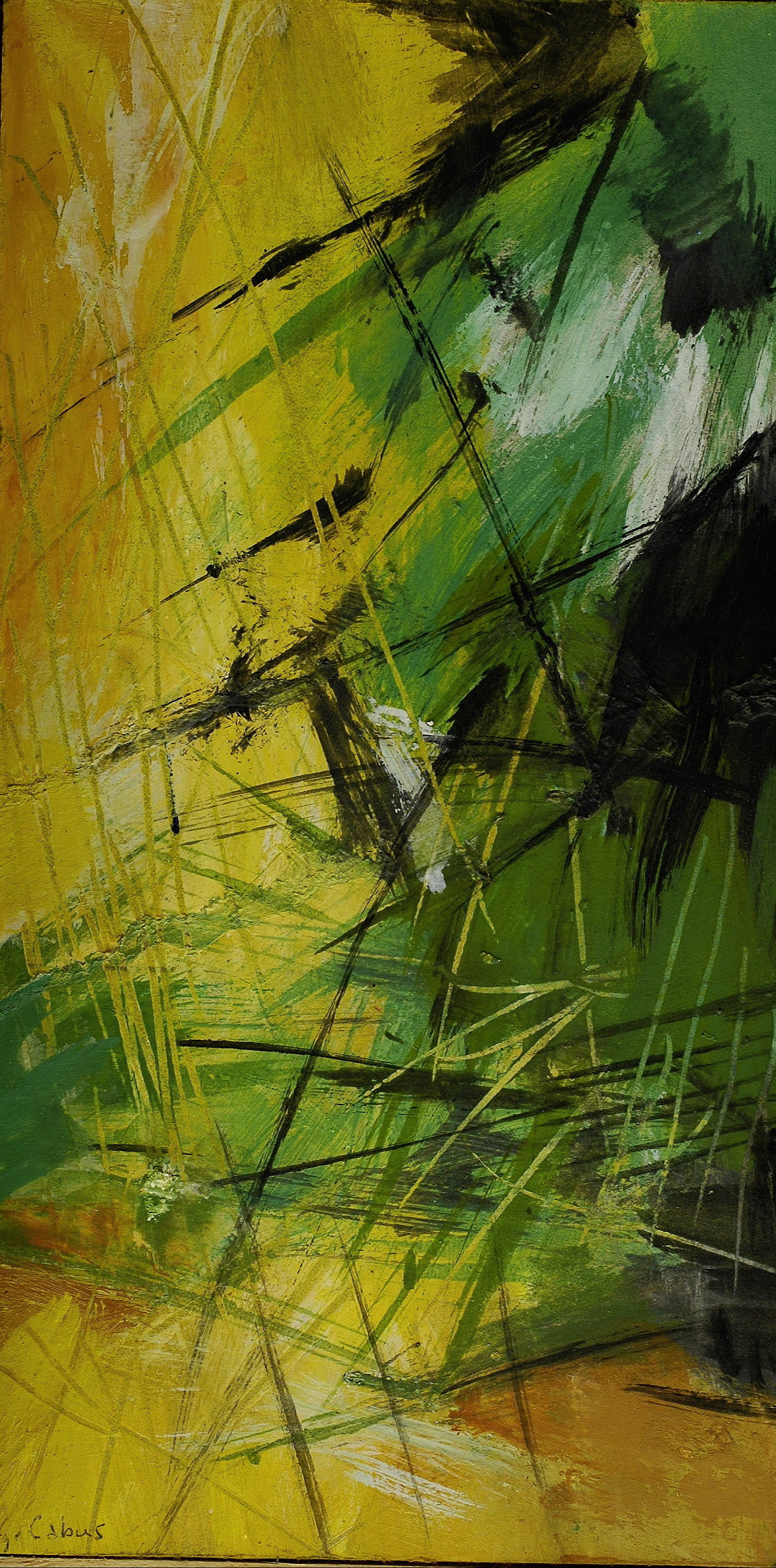 Objectif 50 mm sigma 
macro-B . des B nuageux
+ 3 - S.élevée - iso 200 -