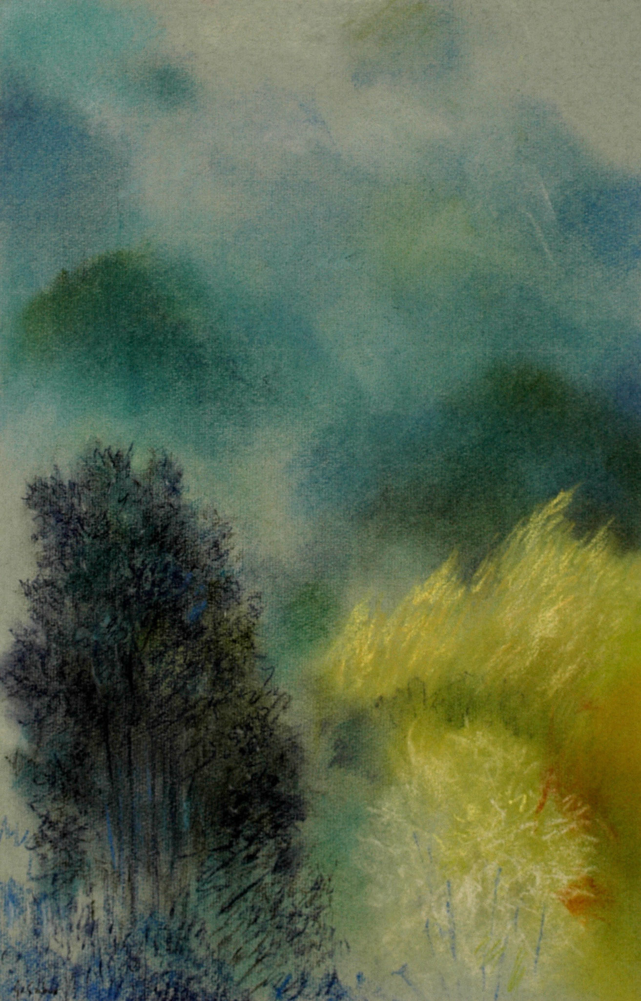 Pastels-2006/2008-
JPEG FINE-M-200 isos-
O.sigma macro-B. des B.
ombre+3-optimisation+nette
ouverture 7,1- format 50/30cms-
grand beau temps 
16heures . Marly le Roi .