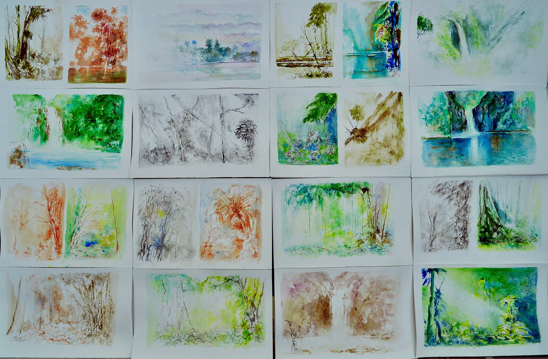 série de 31 aquarelles et lavis-2016-thème Tropiques-20-Formats demi raisin et quart raisin-techniques: aquarelle, lavis d'encre de chine, noire, sépia et terre de sienne brulée.