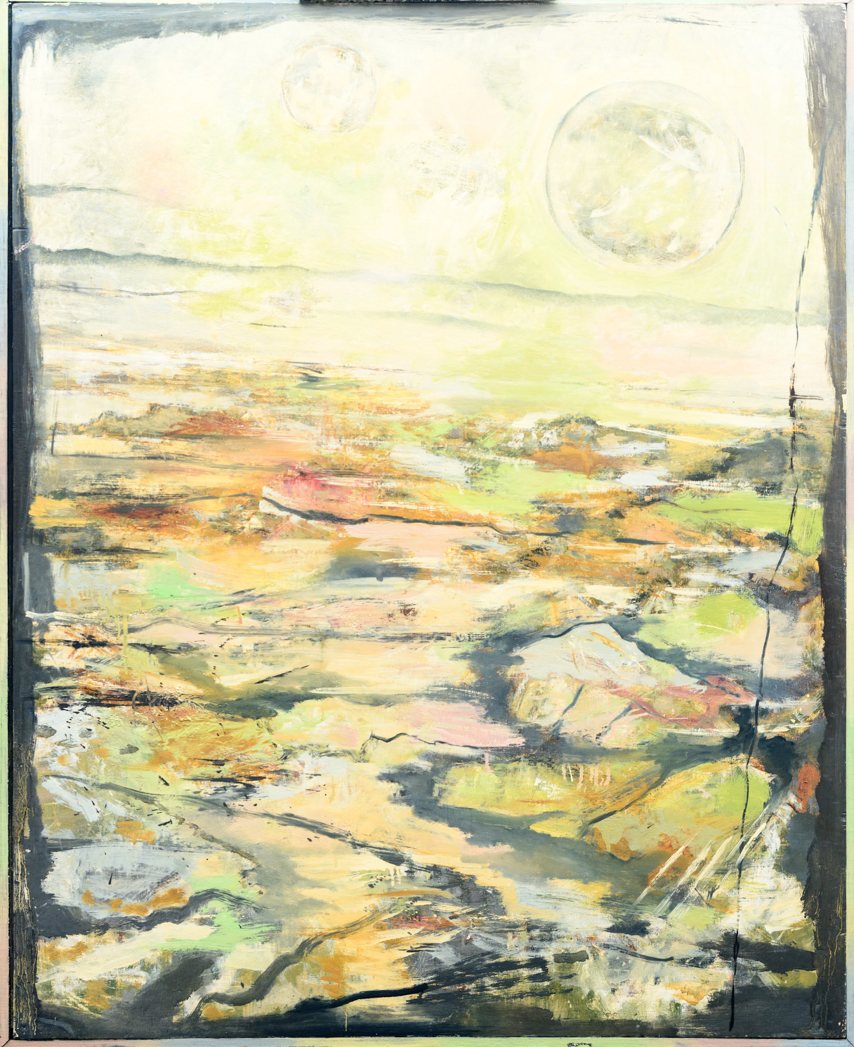 EN TERRE ETRANGERE, Arizona dream - 40 fig -1975-1996.