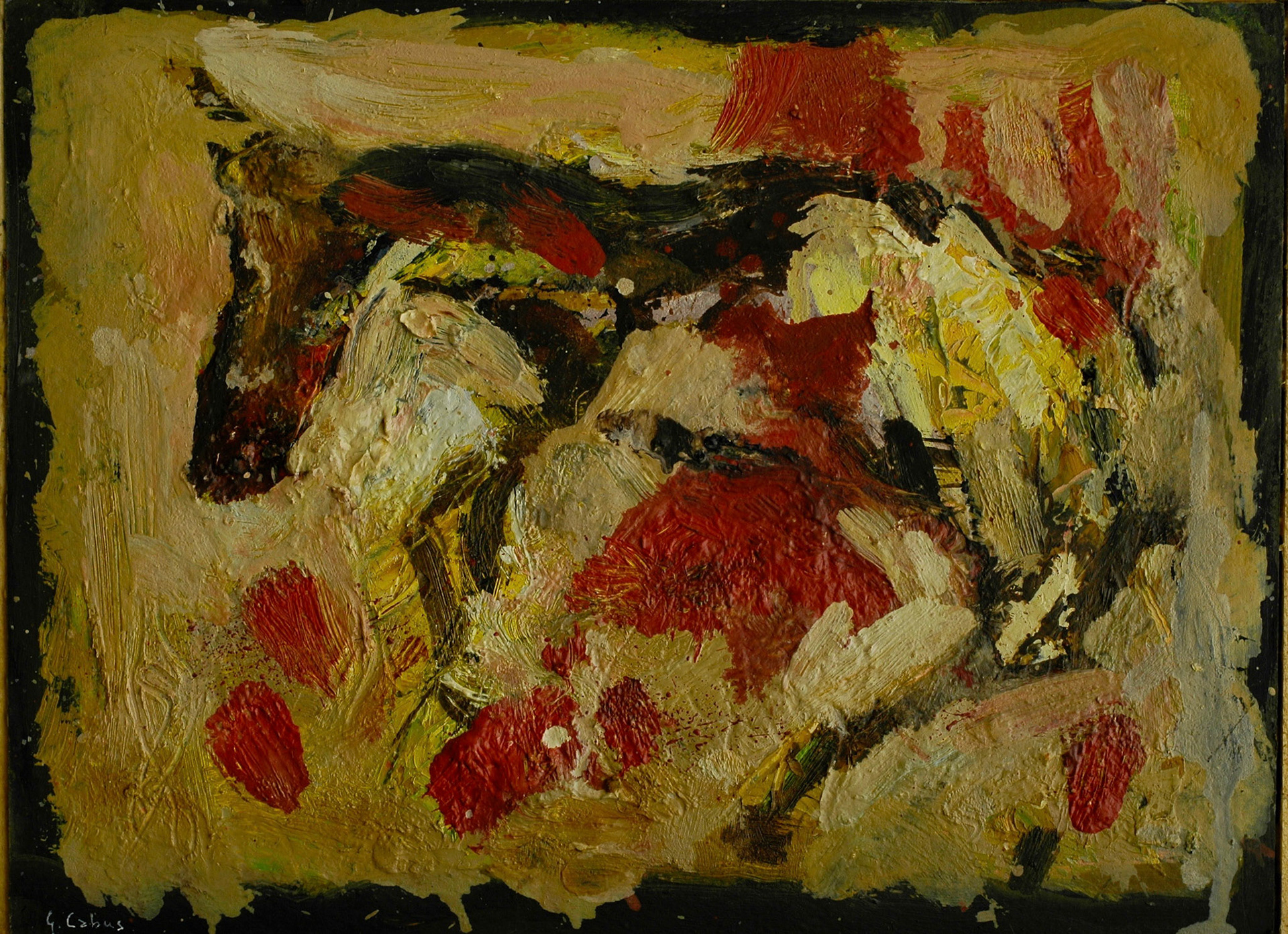 Objectif 50 mm sigma 
macro-B . des B nuageux
+ 3 - S.élevée - iso 200 -