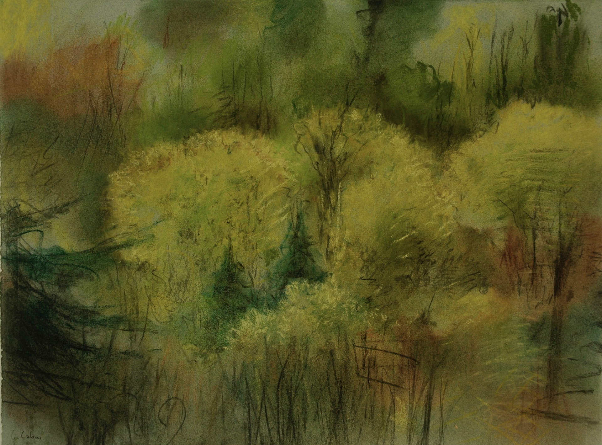 Pastels-2006/2008-
JPEG FINE-M-O.18/70
200 isos-B.des B.ombre+3-
optimisation+nette- ouverture 7,1- format 43,5x32,3cms-
grand beau temps 
10heures . Marly le Roi .