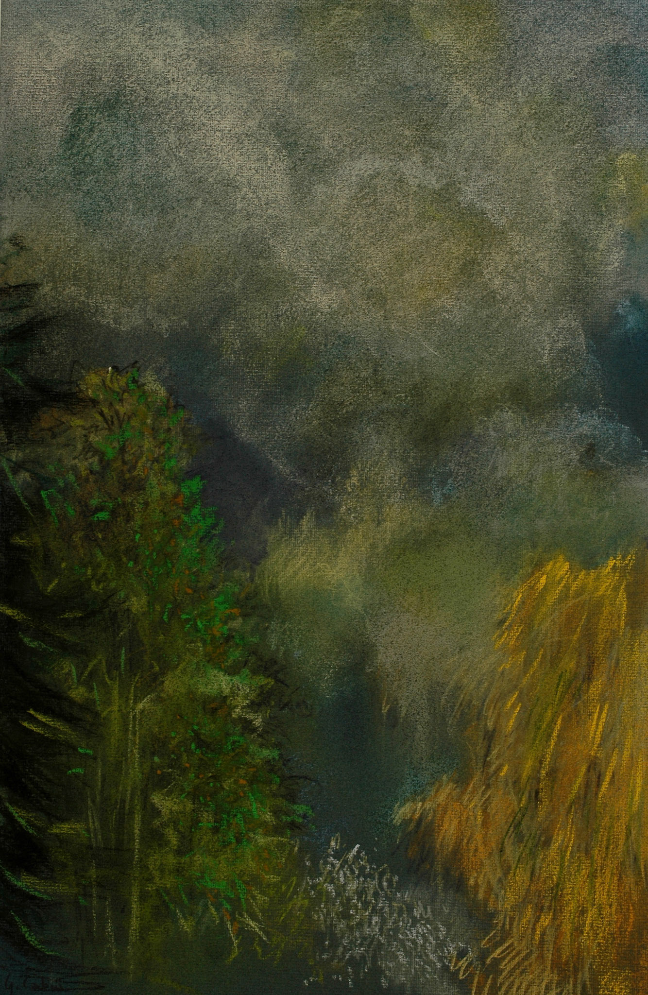 Pastel-2006/2008-
JPEG FINE-M-200 isos
O.sigma macro-B.des B.
ombre+3-optimisation
plus nette-ouverture 7,1-
jour gris . format 50/30cms-
 temps gris 10heures,30 
Marly le Roi .