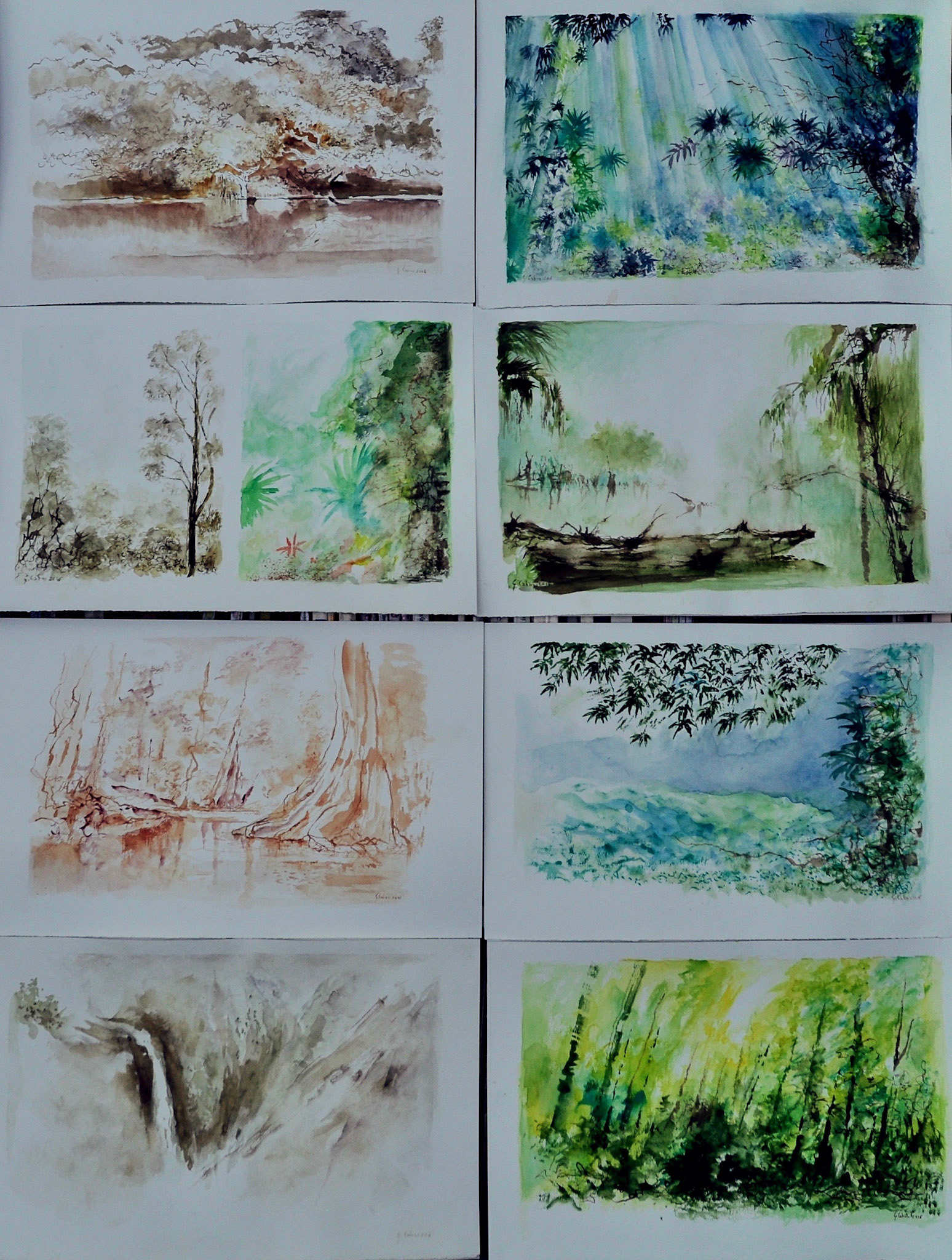 série de 31 aquarelles et lavis-format demi et quart raisin-2016-thème Tropiques-8-2016-tecniques: aquarelle, lavis d'encre de chine noire; sépia et terre de sienne brulée.