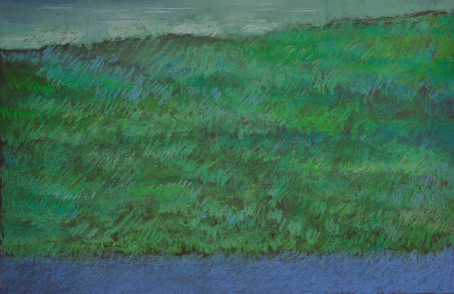 10 variations sur le thème de la prairie,dont 6 format 30X37,5 cms et 4 format 50X65cms: