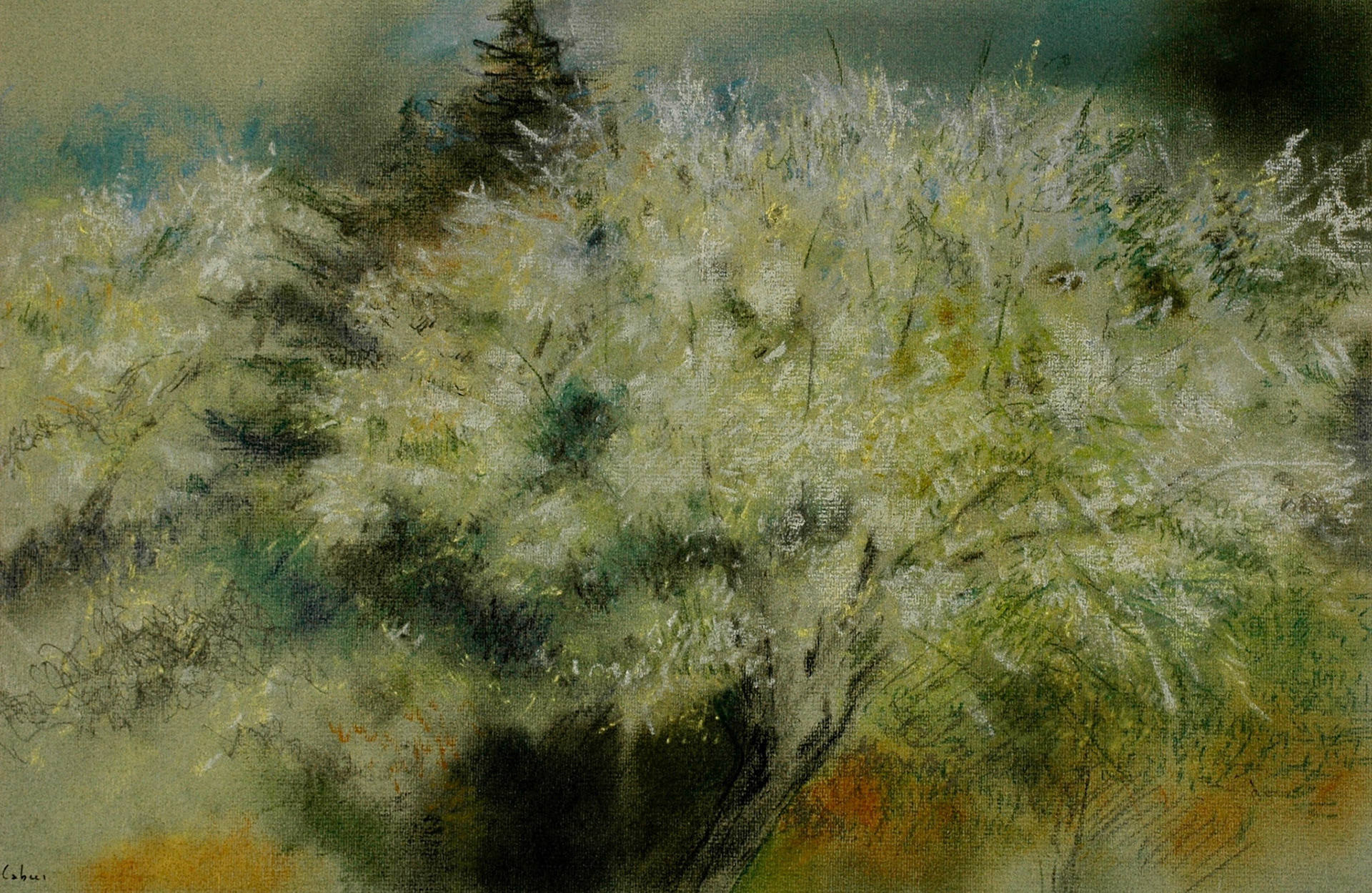 Pastels-2006/2008-
JPEG FINE-M-200 isos-
O.sigma macro-B. des B.
ombre+3-optimisation+nette
ouverture 7,1- format 50/30cms-
grand beau temps 
16heures . Marly le Roi .
VENDU À NICOLE JAUNEAU ;