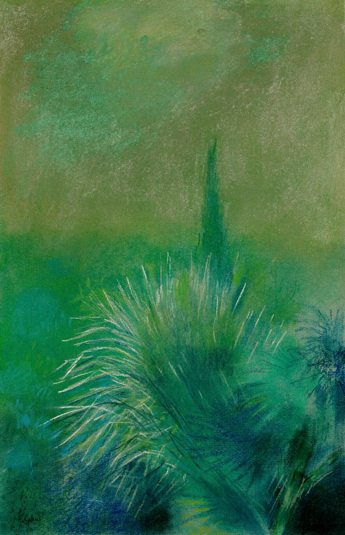 Pastels-2006/2008-
JPEG FINE-M-200 isos-
O.sigma macro-B. des B.
ombre+3-optimisation+nette
ouverture 7,1- format 50/30cms-
grand beau temps 
16heures . Valflorine .