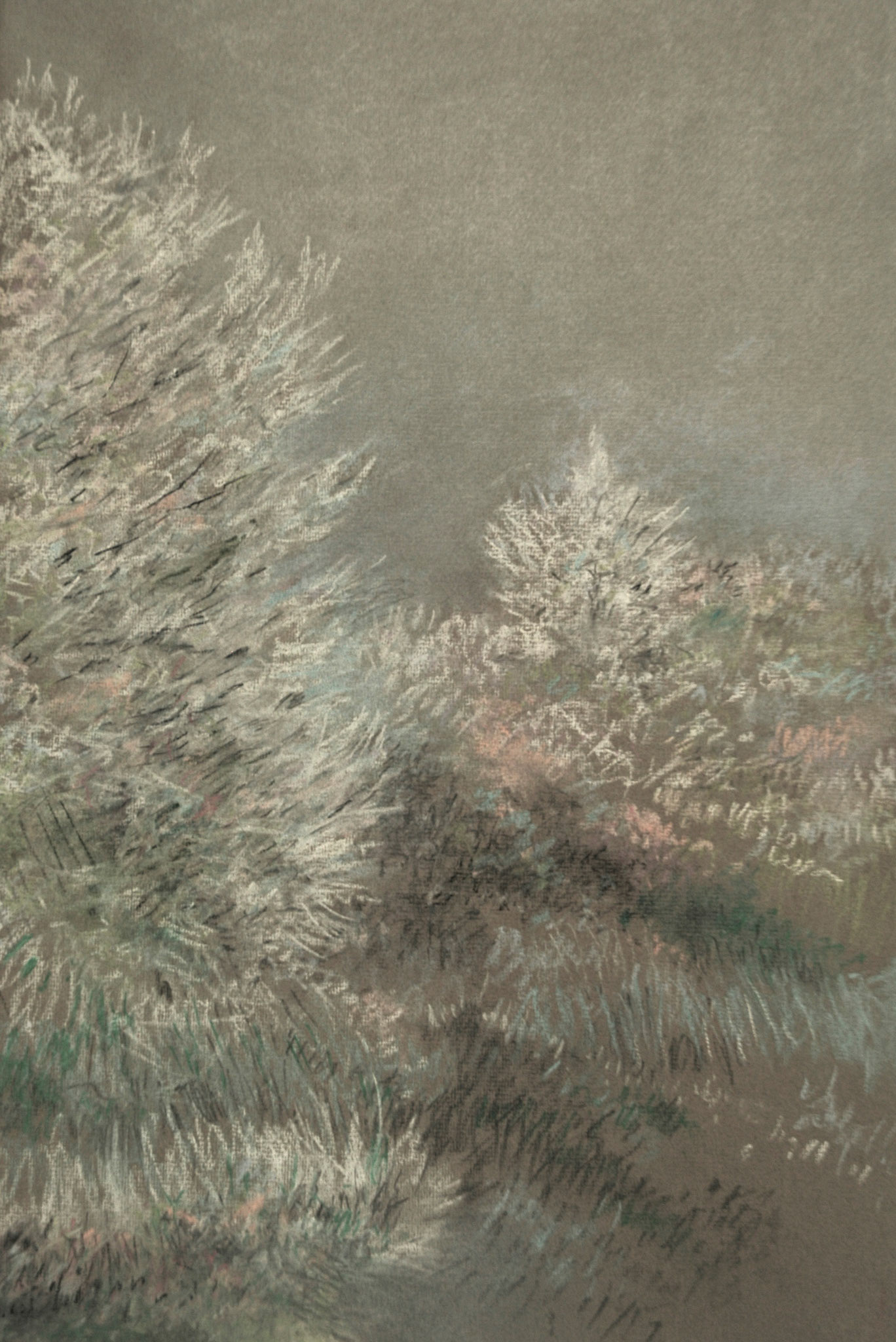 Pastels-2006/2008-
JPEG FINE-M-O.18/70
200 isos-B.des B.ombre+3-
optimisation+nette- ouverture 7,1- format 50/30cms-
grand beau temps 
10heures . Marly le Roi .