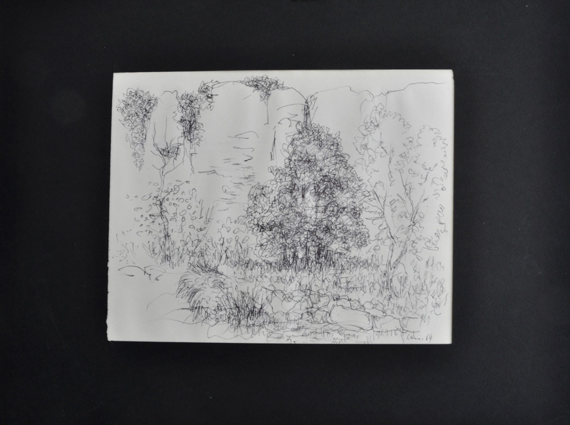 plume et à l'encre de chine noire.