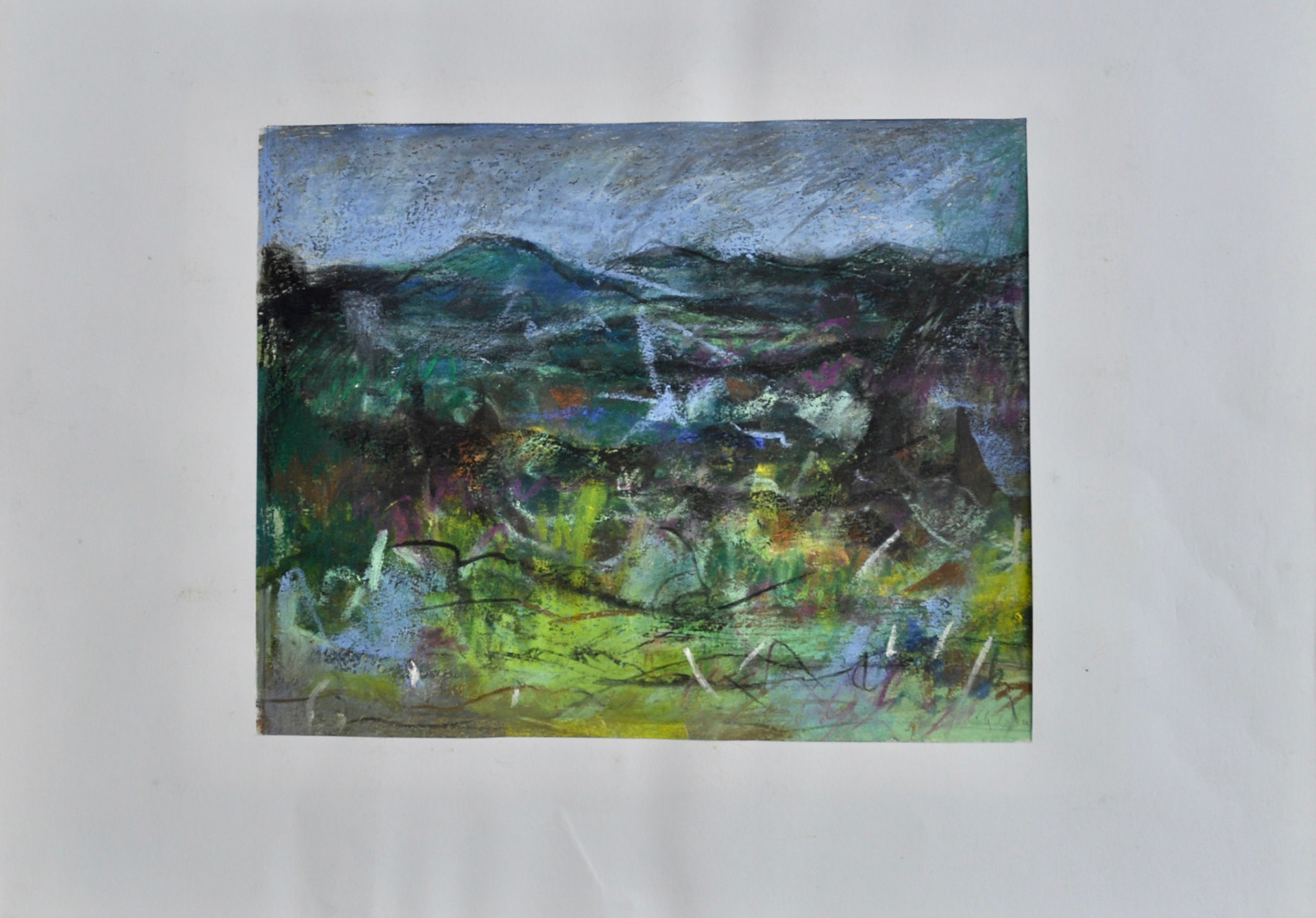 pastel à l'huile - format 25x20,3cms.