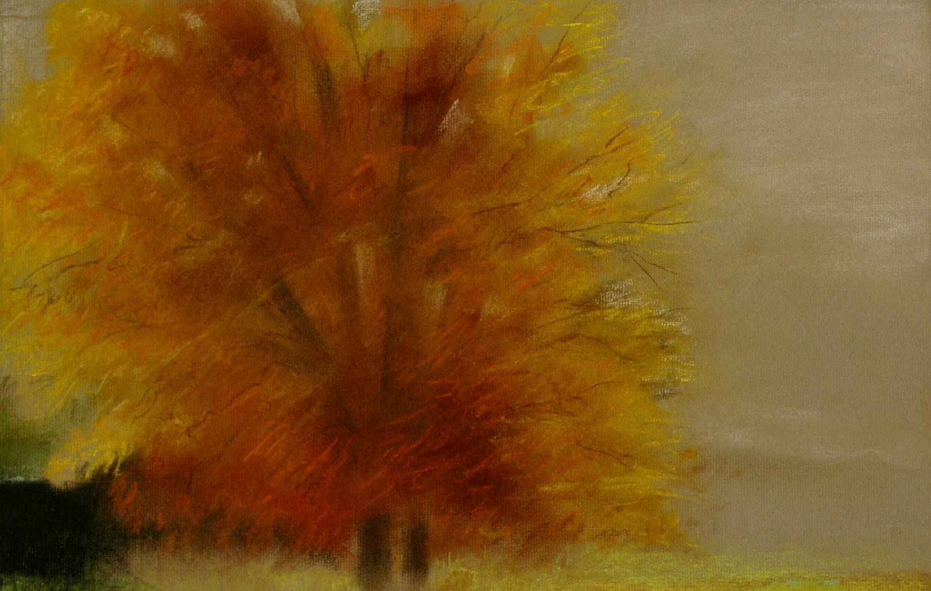 Pastels-2006/2008-
JPEG FINE-M-200 isos-
O.sigma macro-B. des B.
ombre+3-optimisation+nette
ouverture 7,1- format 50/30cms-
grand beau temps 
16heures . Plateau saint Barnabé-
comté de Nice .