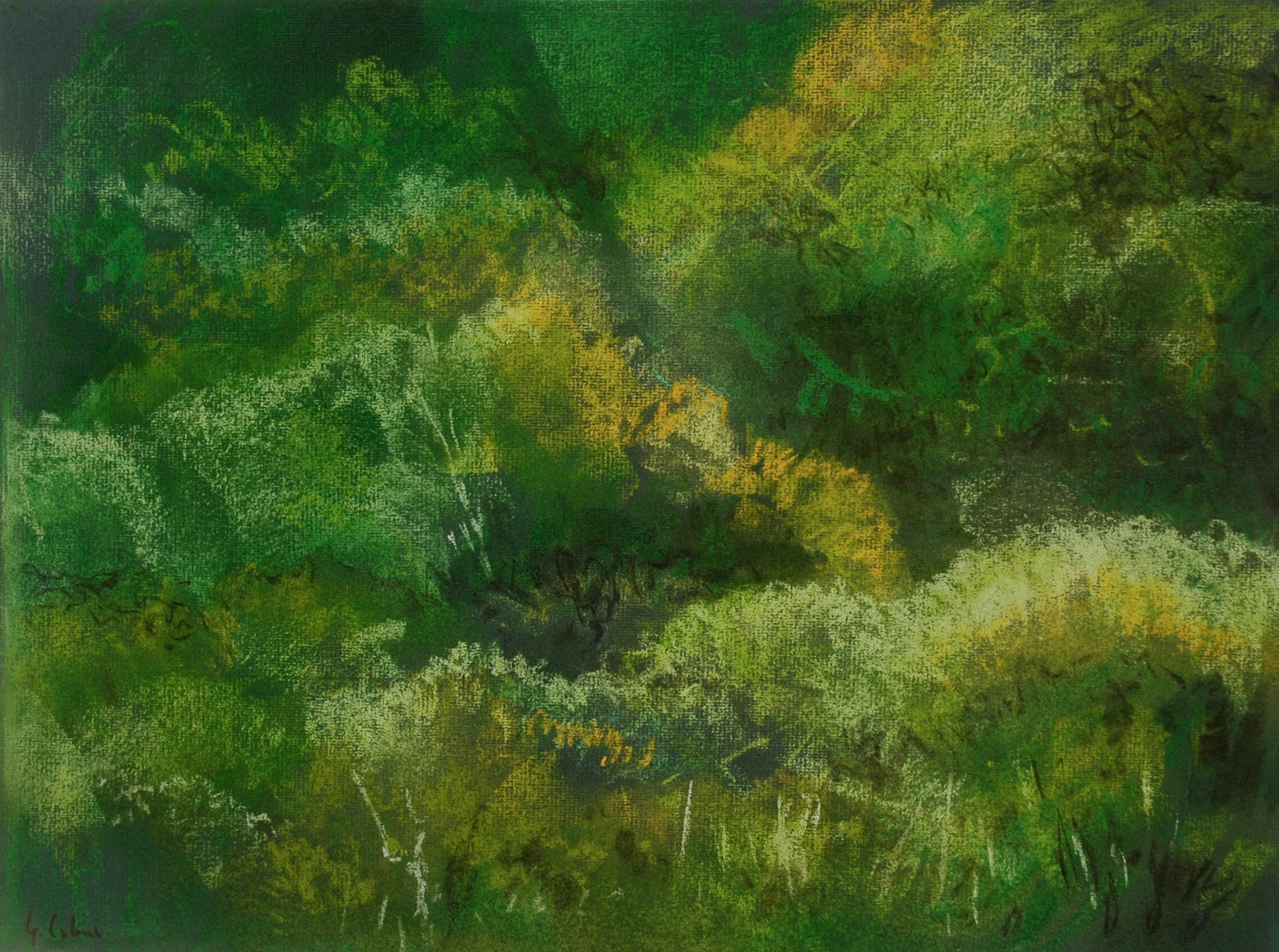 Pastels-2006/2008-
JPEG FINE-M-O.18/70
200 isos-B.des B.ombre+3-
optimisation+nette- ouverture 7,1- format 43,5x32,5cms-
grand beau temps 
10heures . Marly le Roi .