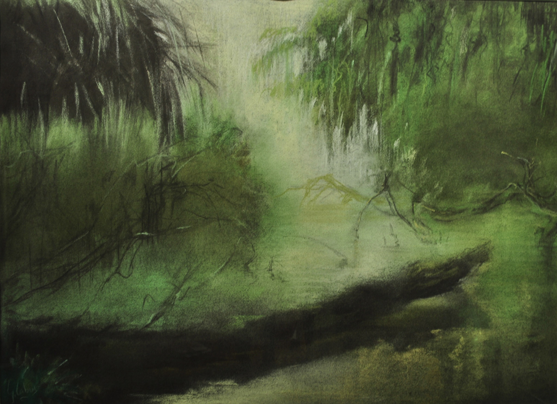 Pastel-1990-le Bayou-0,55X0,40cms-propriété de Jacques Van Waerbecke