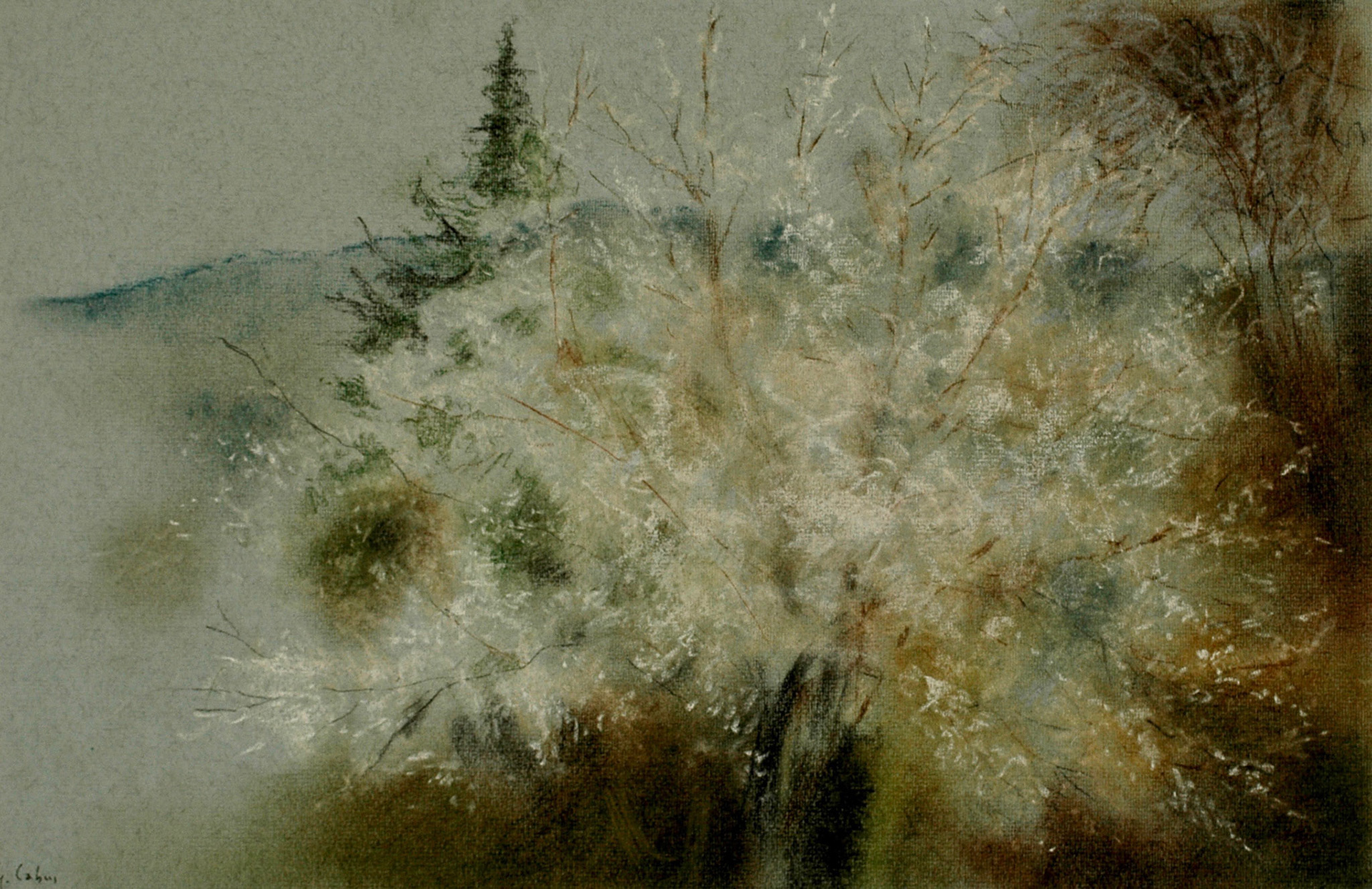 Pastels-2006/2008-
JPEG FINE-M-200 isos-
O.sigma macro-B. des B.
ombre+3-optimisation+nette
ouverture 7,1- format 50/30cms-
grand beau temps 
16heures . Marly le Roi .
VENDU À MONIQUE SIMON .