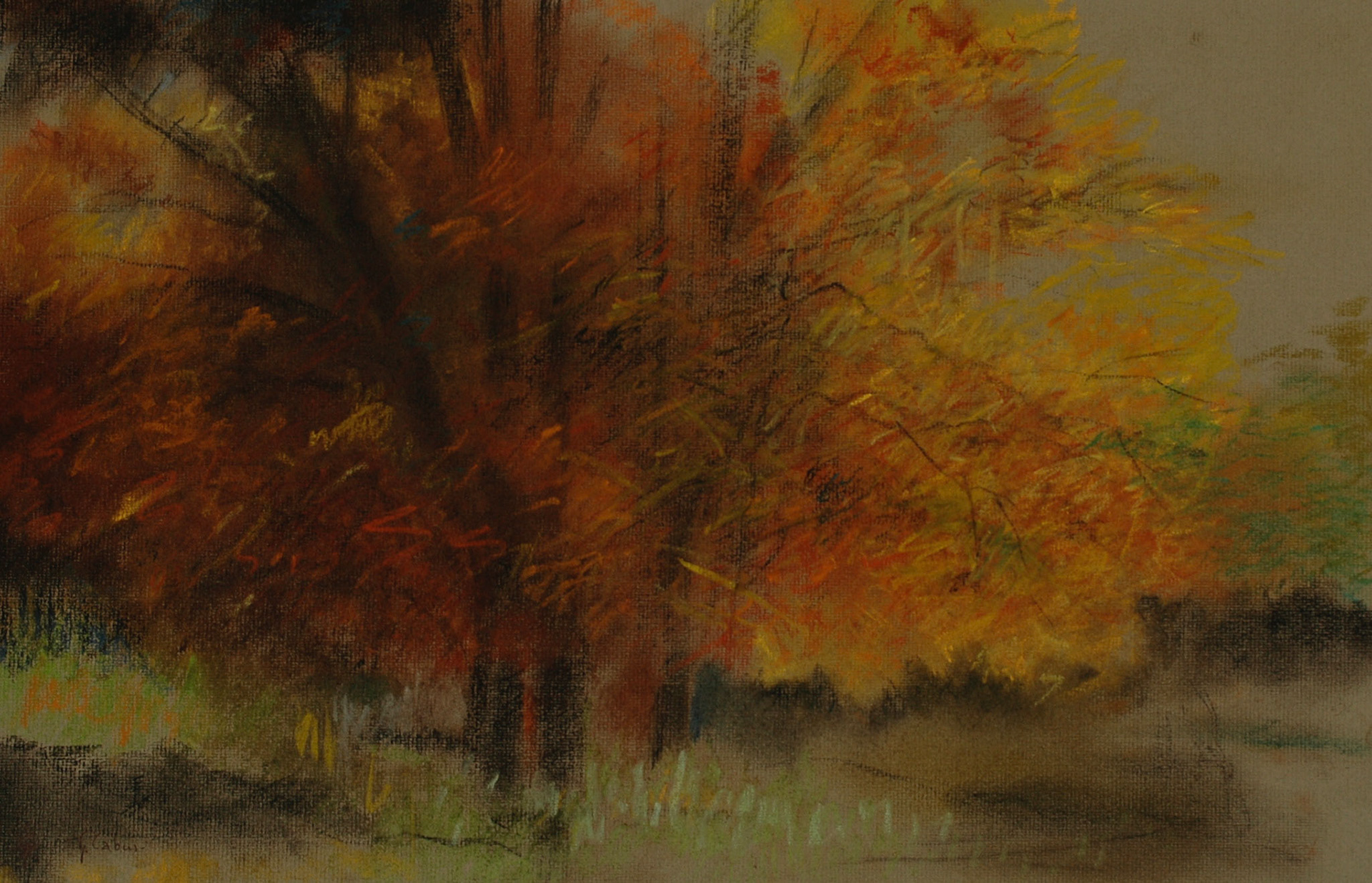 Pastels-2006/2008-
JPEG FINE-M-200 isos-
O.sigma macro-B. des B.
ombre+3-optimisation+nette
ouverture 7,1- format 50/30cms-
grand beau temps 
16heures . Plateau saint Barnabé-
comté de Nice .