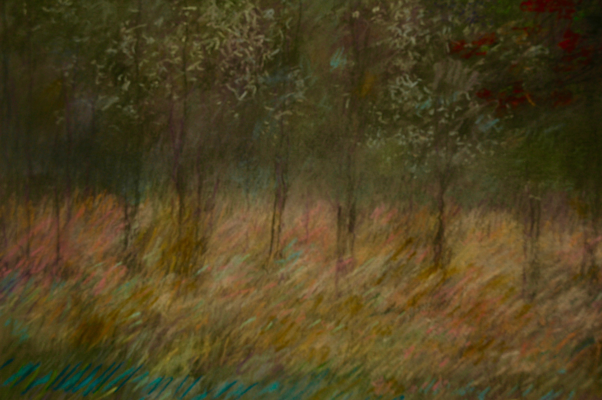 Pastels-2006/2008-
JPEG FINE-M-O.18/70
200 isos-B.des B.ombre+3-
optimisation+nette- ouverture 7,1- format 50/30cms-
grand beau temps/Pasel 59X65cms.
10heures . Etang près de Clichy sous Bois .