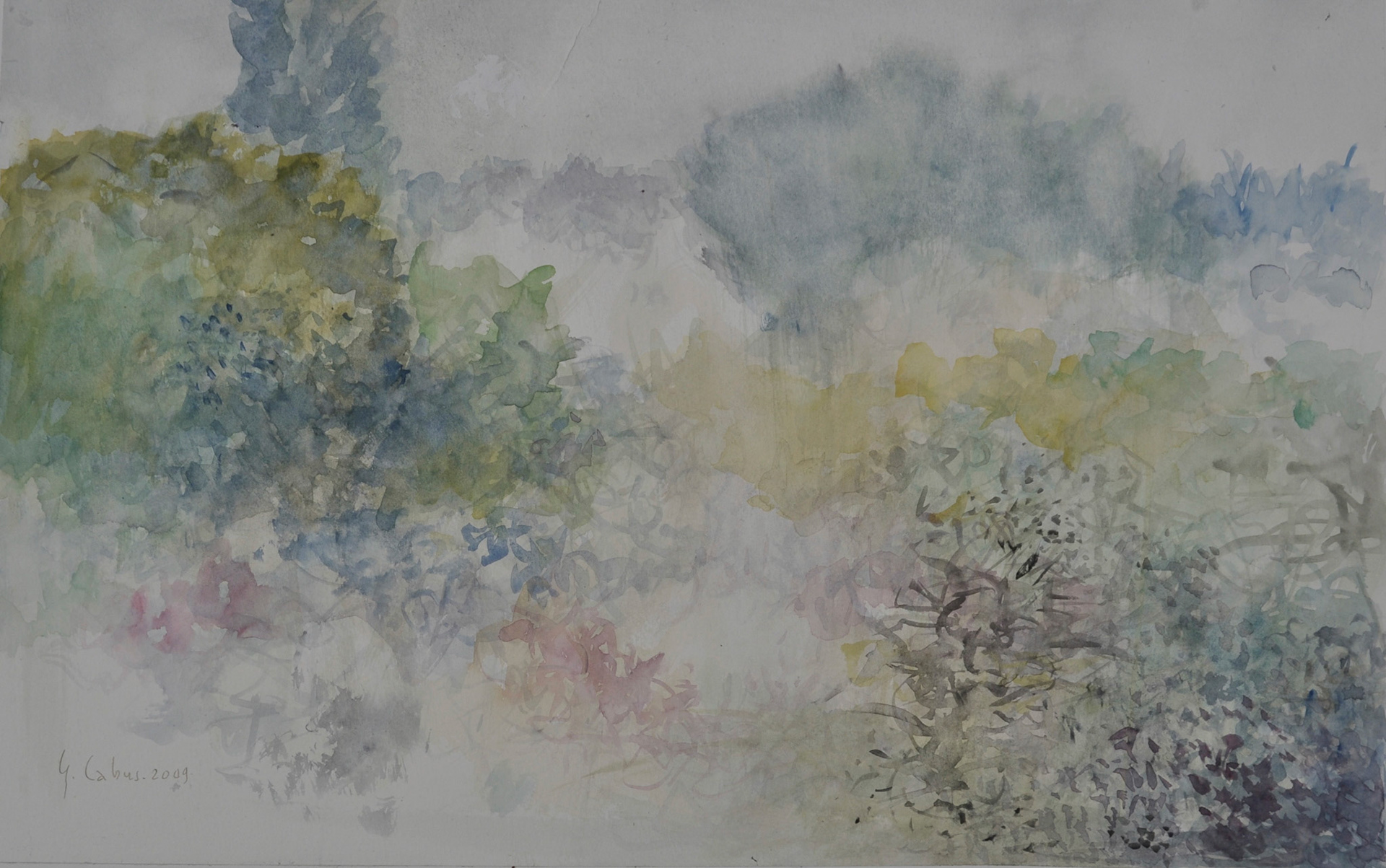 le térrain boisé dérrière la maison de l’île de Ré.