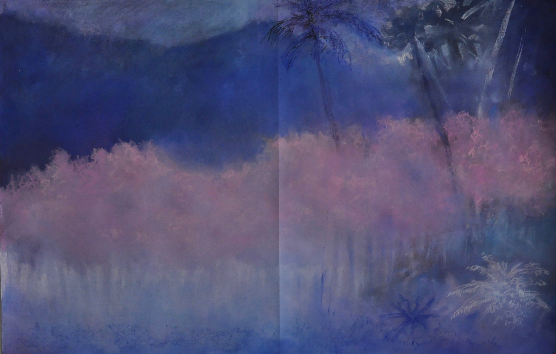 Tropiques—2017—pastel—0, 65cmsX1m—mode M.
