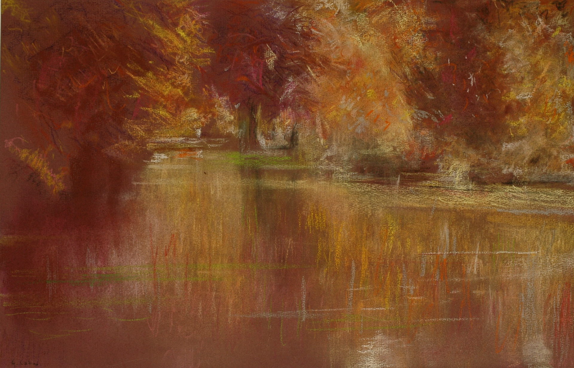 Pastel-2006/2008-
JPEG FINE-M-200 isos
O.sigma macro-B.des B.
ombre+3-optimisation
plus nette-ouverture 7,1-
jour gris . format 50/30cms-
 temps gris 10heures,30 
Marais Poitevin .