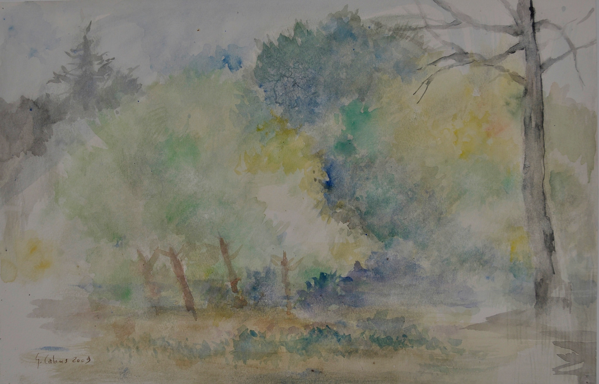 Le jardin dérrière la maison de l’île de Ré;