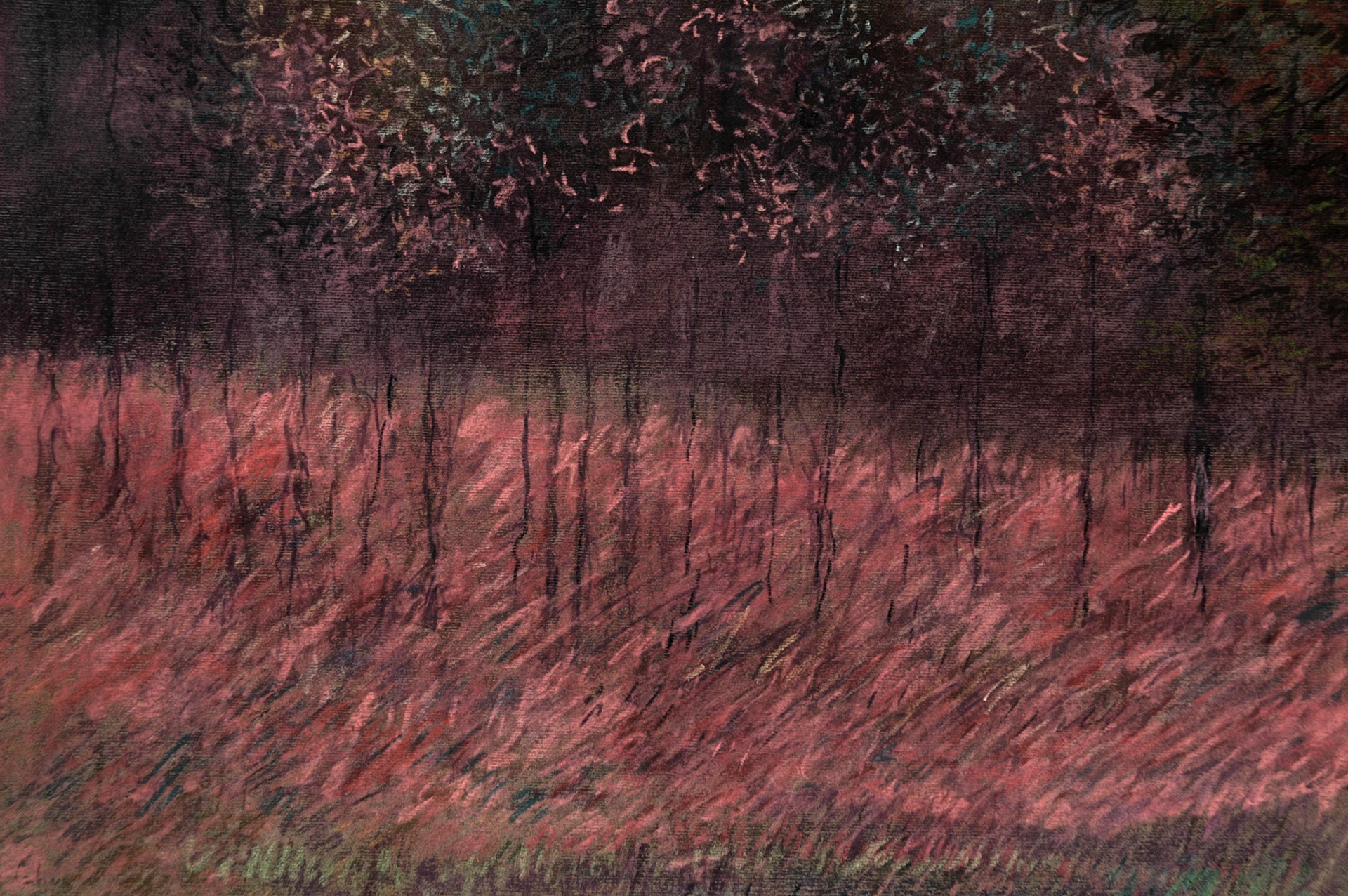 Pastels-2006/2008-
JPEG FINE-M-O.18/70
200 isos-B.des B.ombre+3-
optimisation+nette- ouverture 7,1- format 50/30cms-
grand beau temps 
10heures . Etang près de Clichy sous Bois .VENDU A GUILLEMETTE DE
CATUELAN/