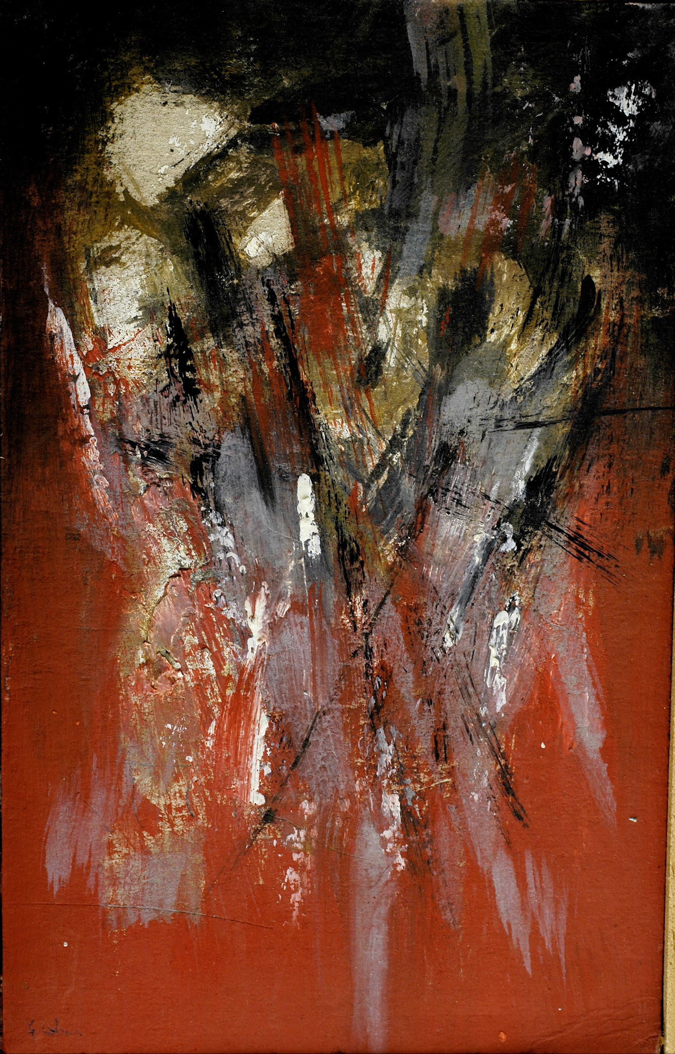 Objectif 50 mm sigma 
macro-B . des B nuageux
+ 3 - S.élevée - iso 200 -