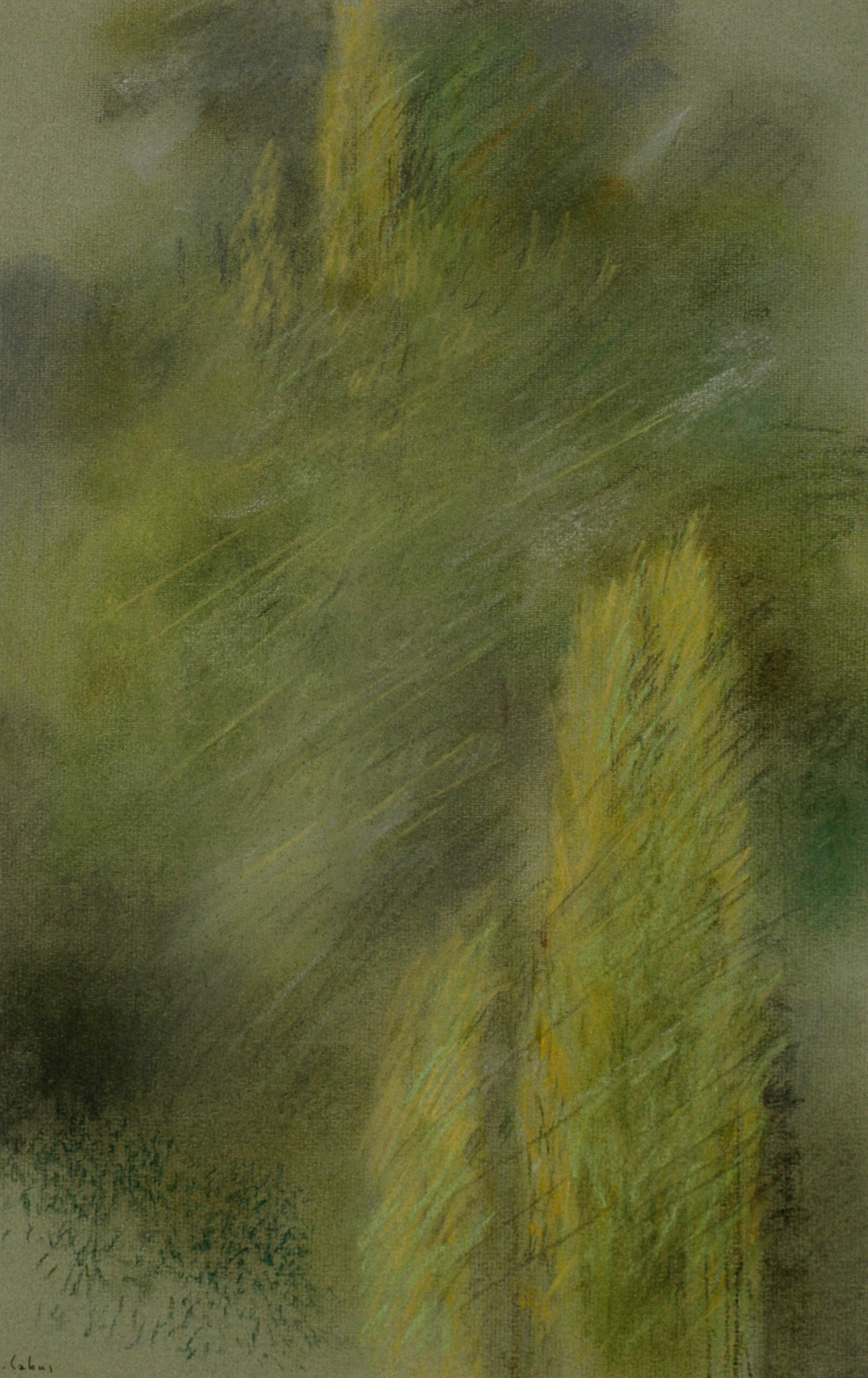 Pastels-2006/2008-
JPEG FINE-M-200 isos-
O.sigma macro-B. des B.
ombre+3-optimisation+nette
ouverture 7,1- format 50/30cms-
grand beau temps 
16heures . Marly le Roi . VENDU UN PASTEL DU MÊME SUJET MAIS DONT IL
N'EXISTE PAS DE PHOTO À MICHELLE 
BRISSE .