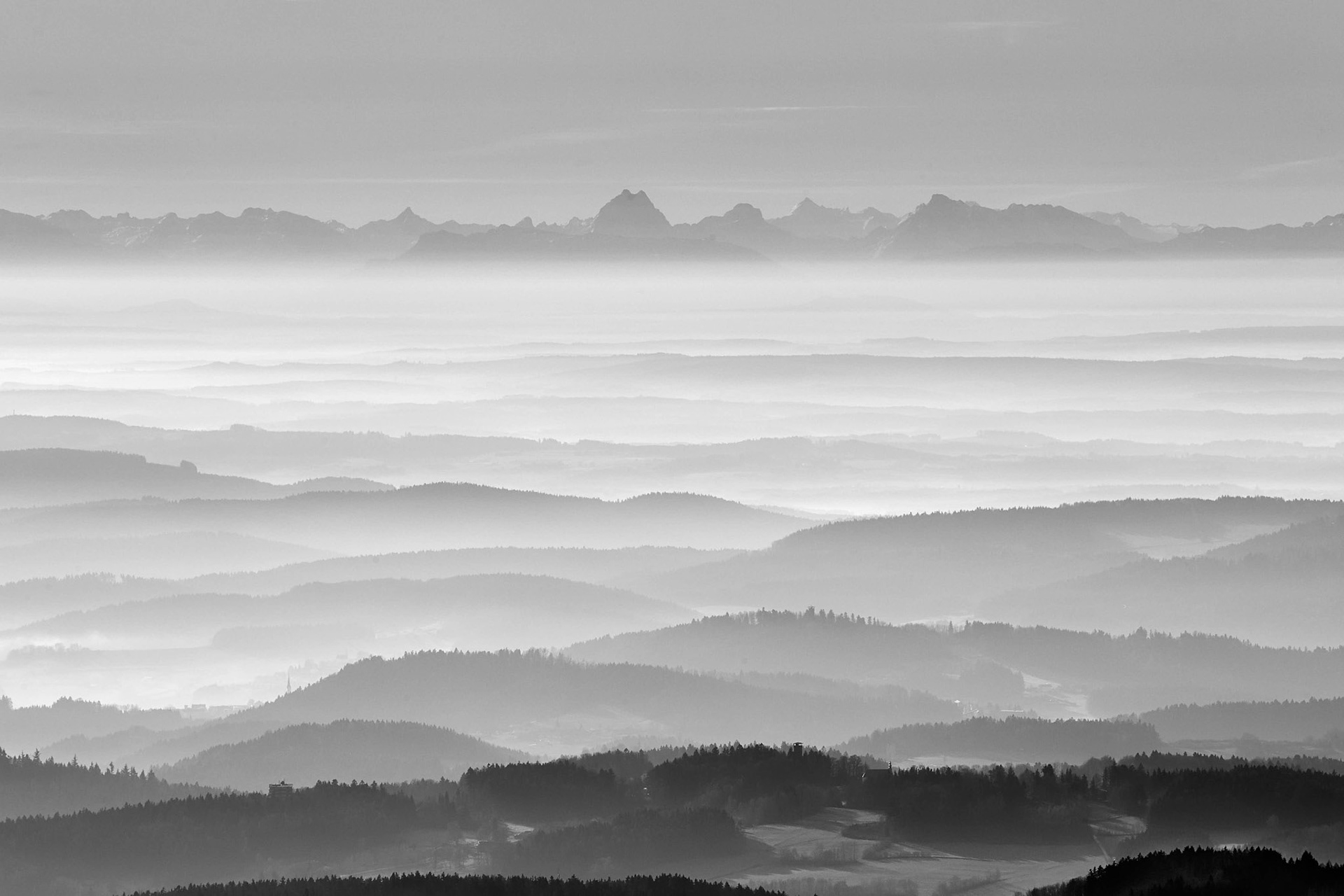 Blick vom Rachel in die Alpen
