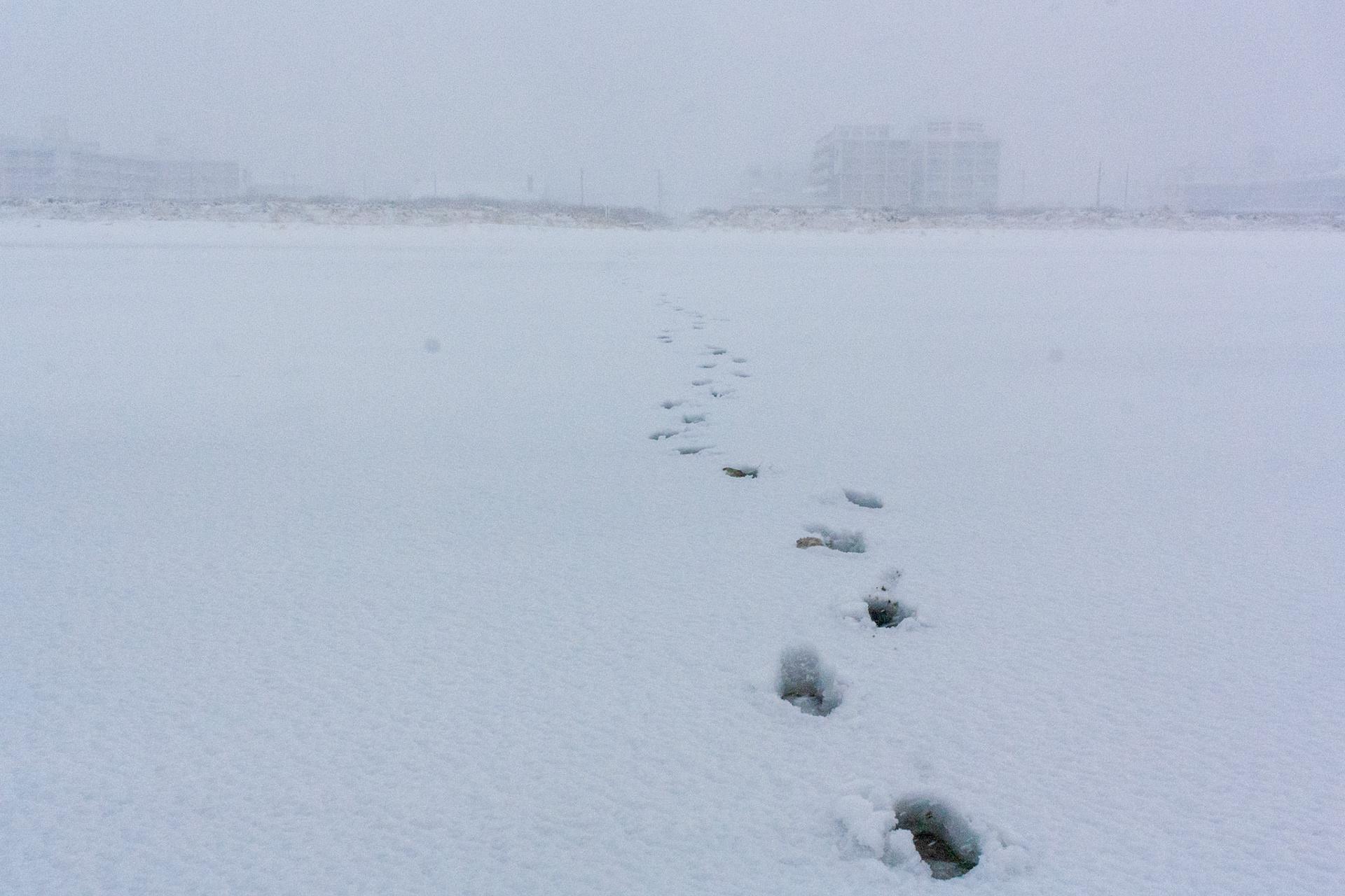 Beach Snow Footprints 