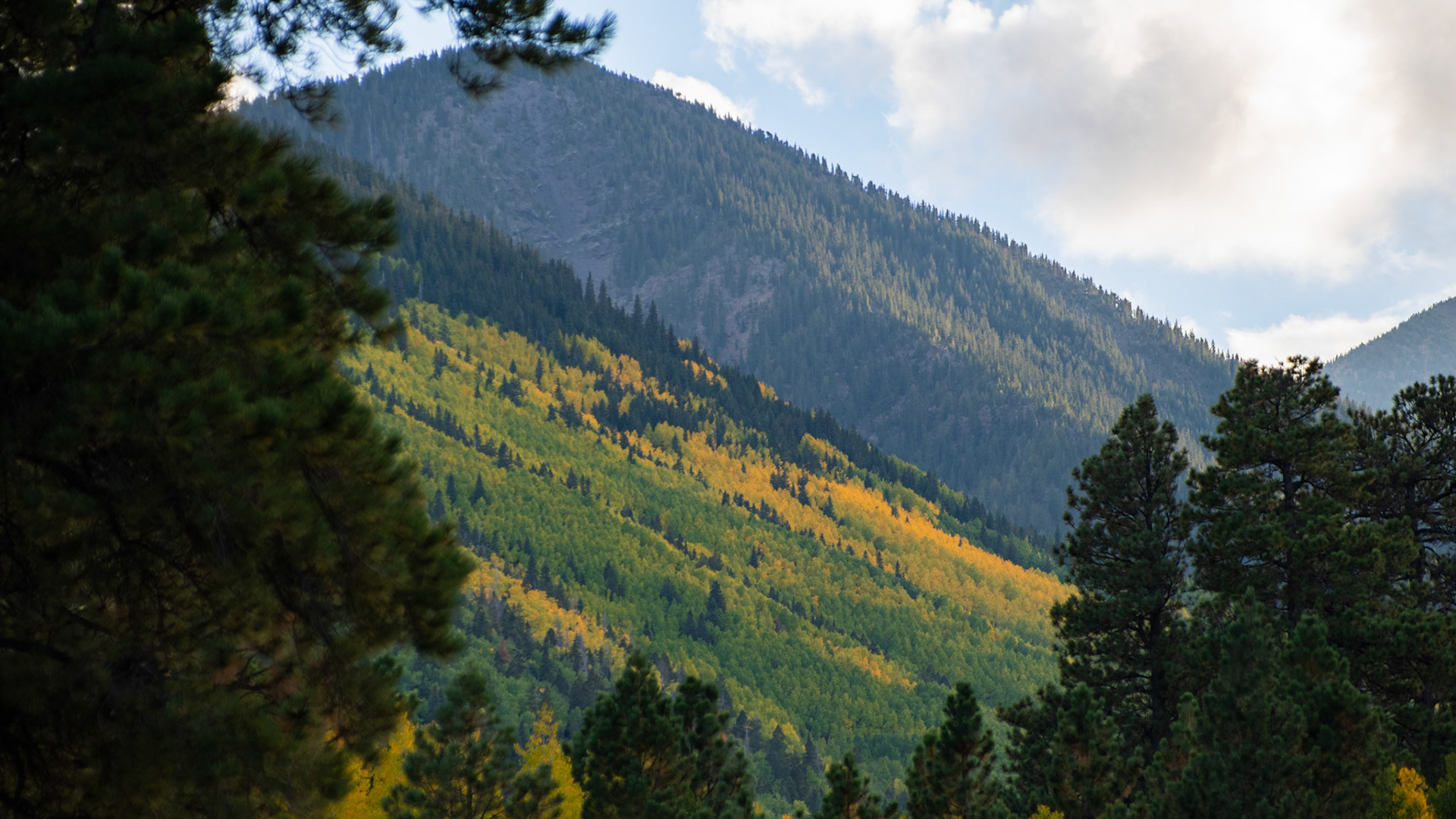 San Francisco Peaks, AZ