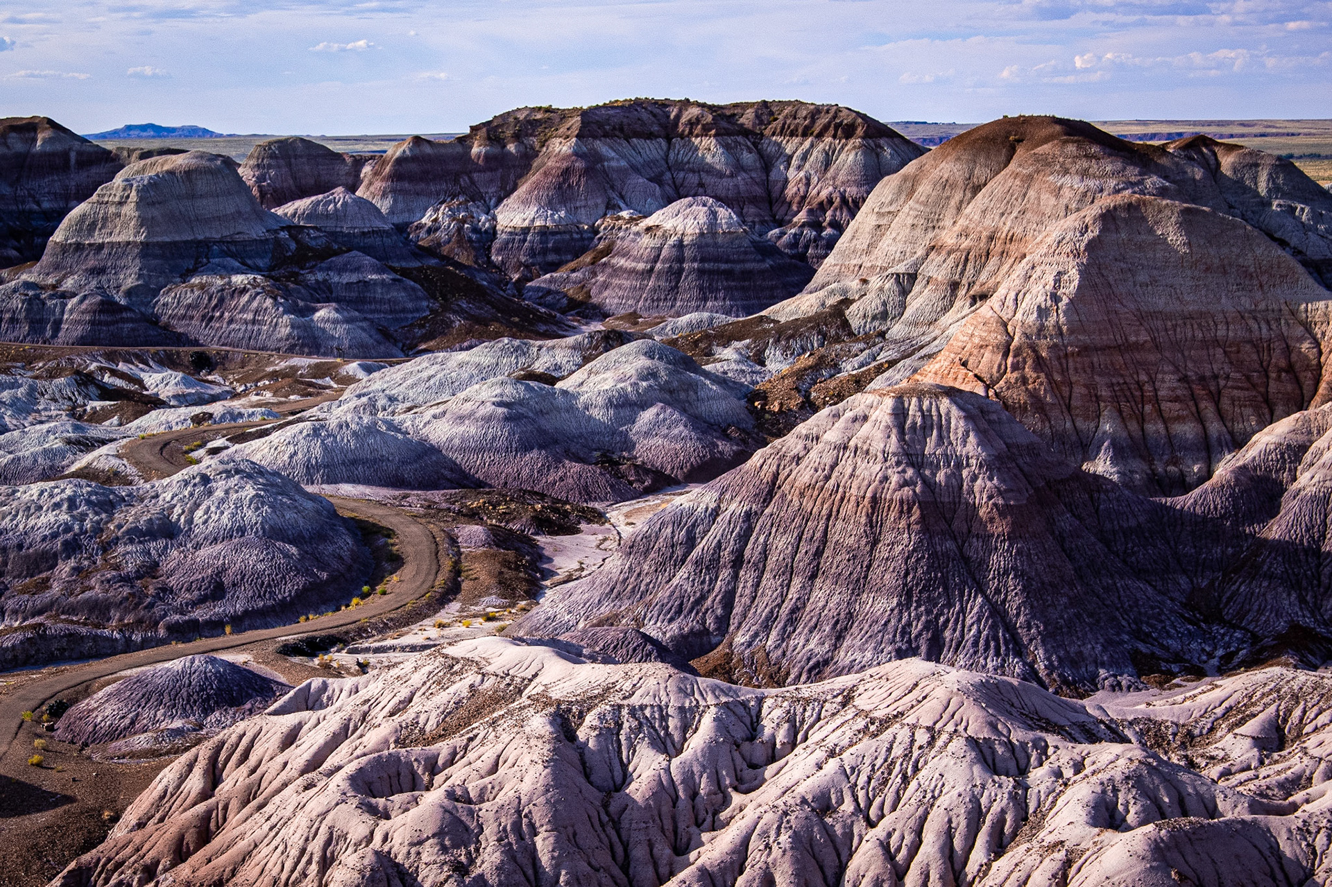 Petrified Forest NP, AZ