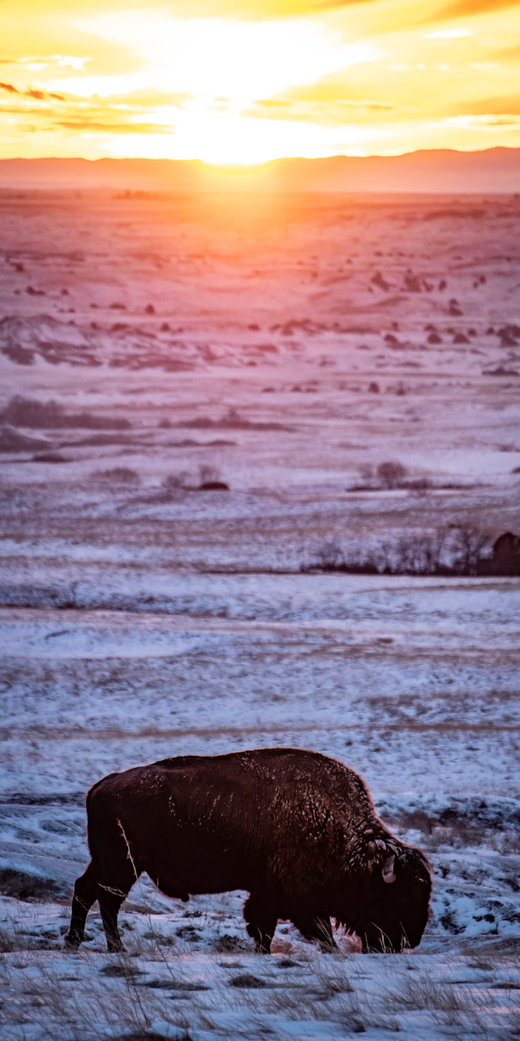 Badlands NP