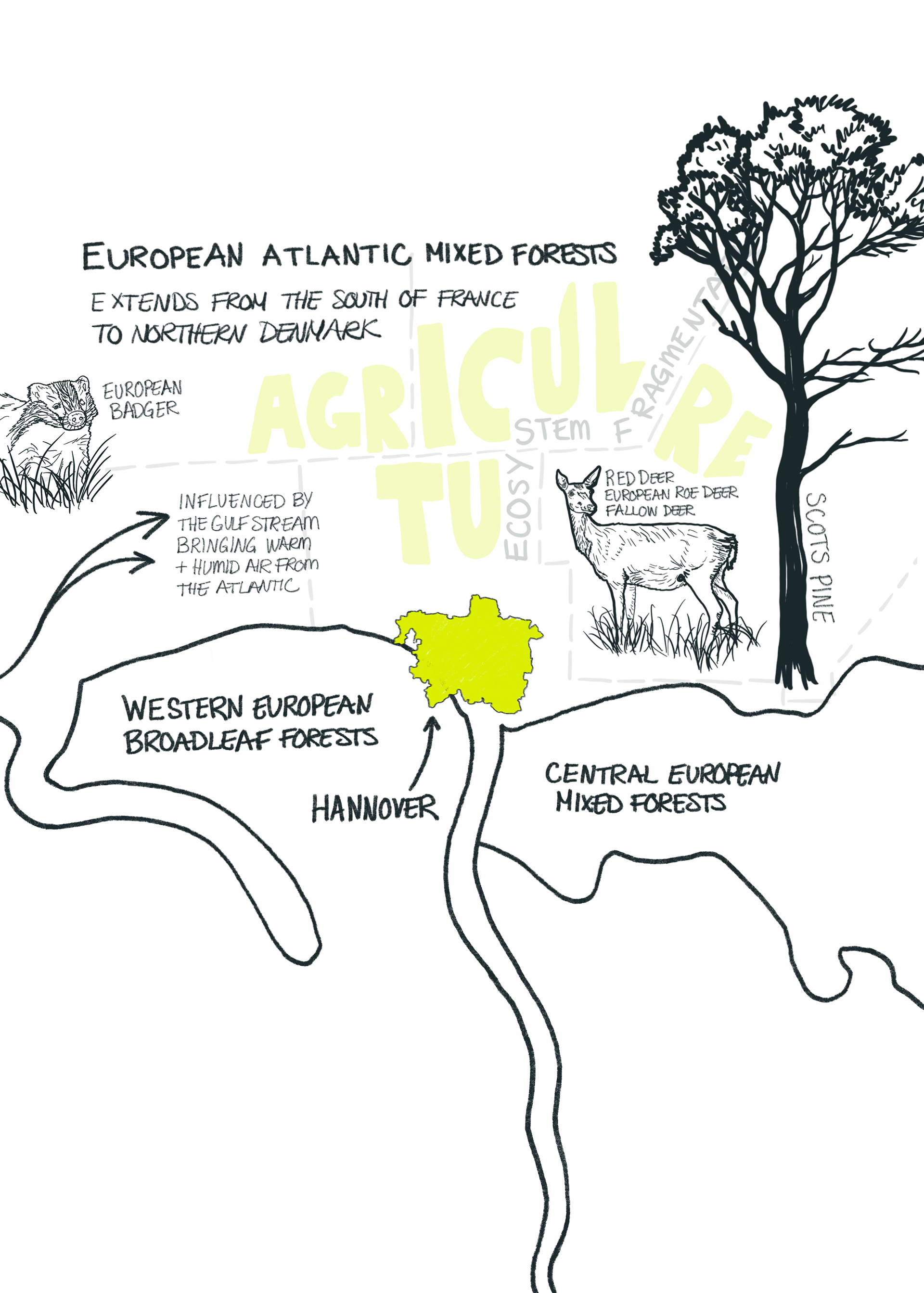 Ecologically positioning the case study