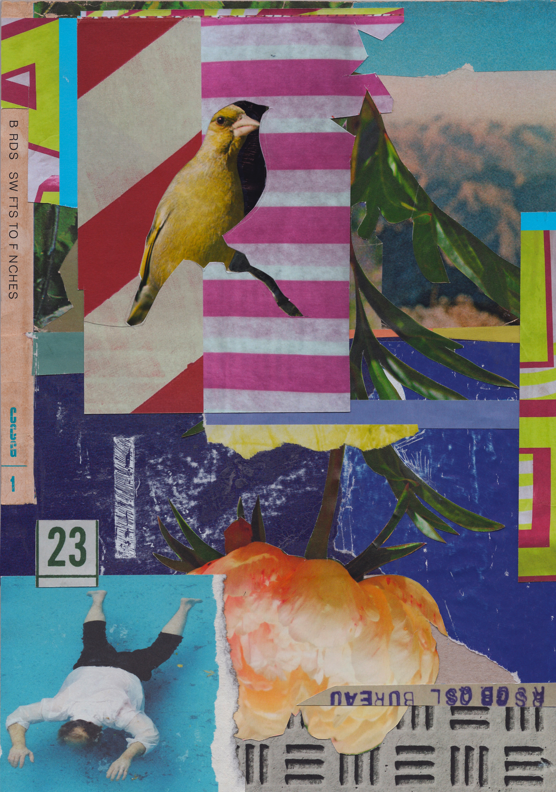 IKARUS _ 02.2024 _ analogue collage on cardboard _ Joint Collage Project with Les Johnson from Contemporary Collage Magazine _ 22 x 30 cm