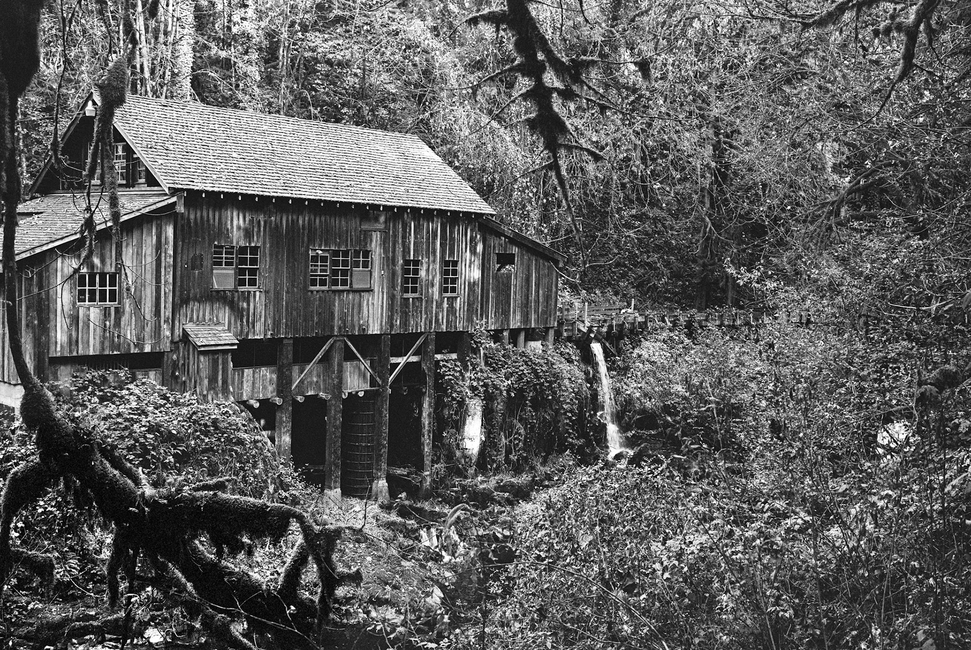 Cedar Creek Grist Mill