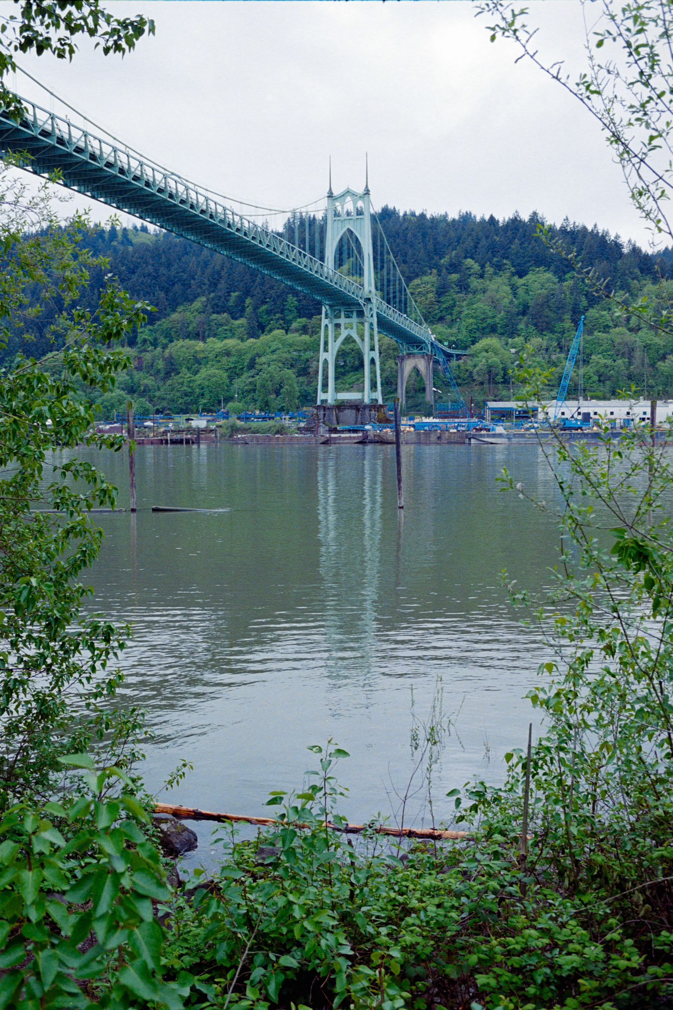 Kodak UltraMax 400, Pentax PZ-1p