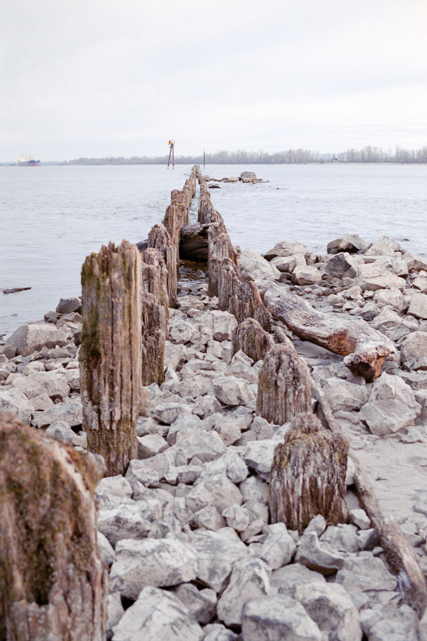 Fuji Superia 400, Pentax PZ-1p