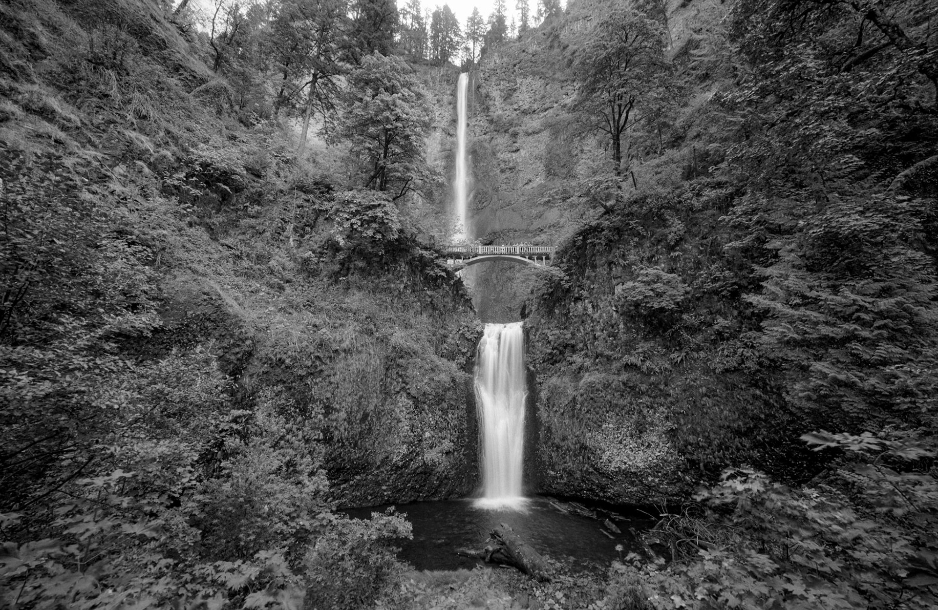Columbia River Gorge, T-max 100, 14mm lens