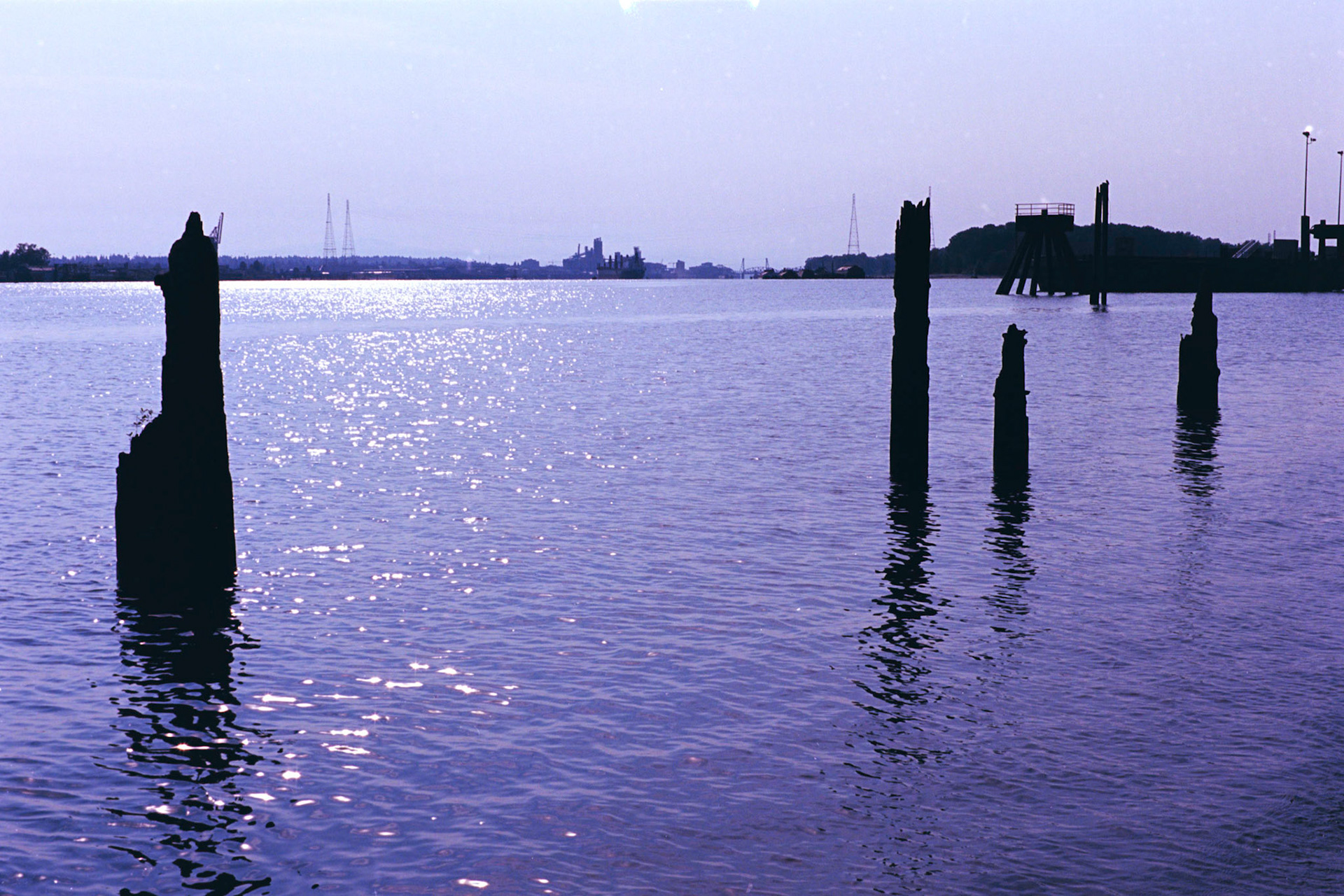 Kodak Ektar 100, Pentax PZ-1p