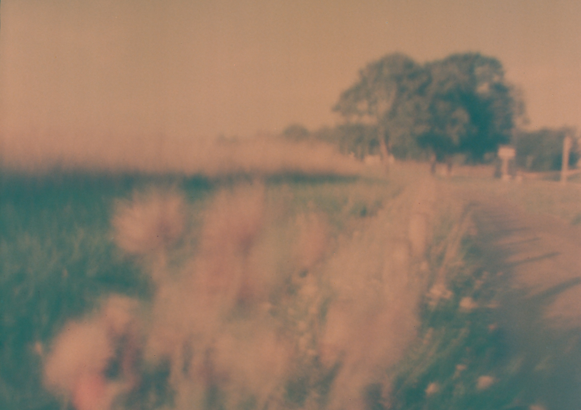 The landscape brought a sense of tranquility to my mind