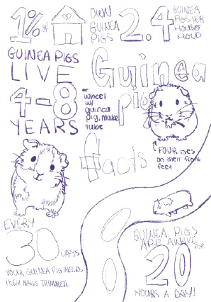 Poster 1 Sketch