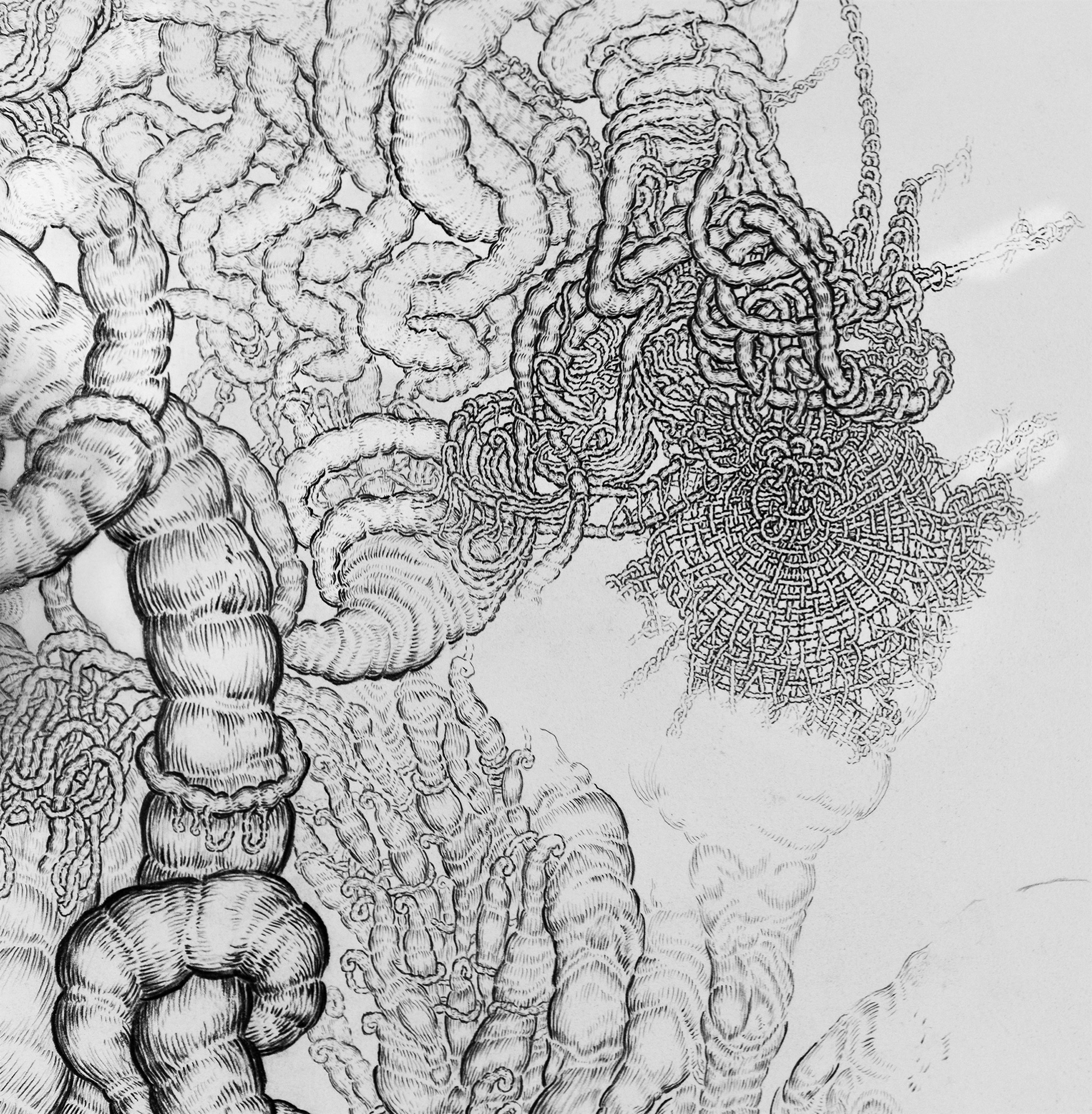 Detail, Vegetable Sermon 1
