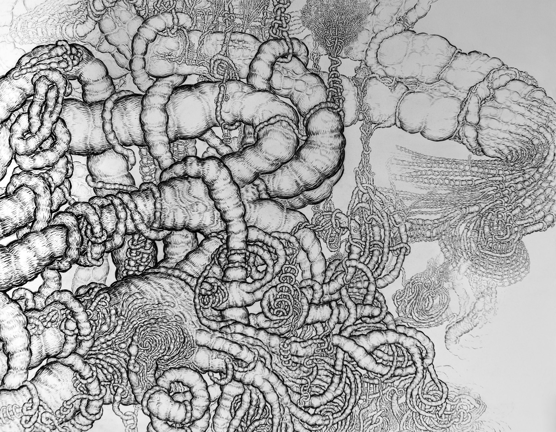 Detail, Vegetable Sermon 1