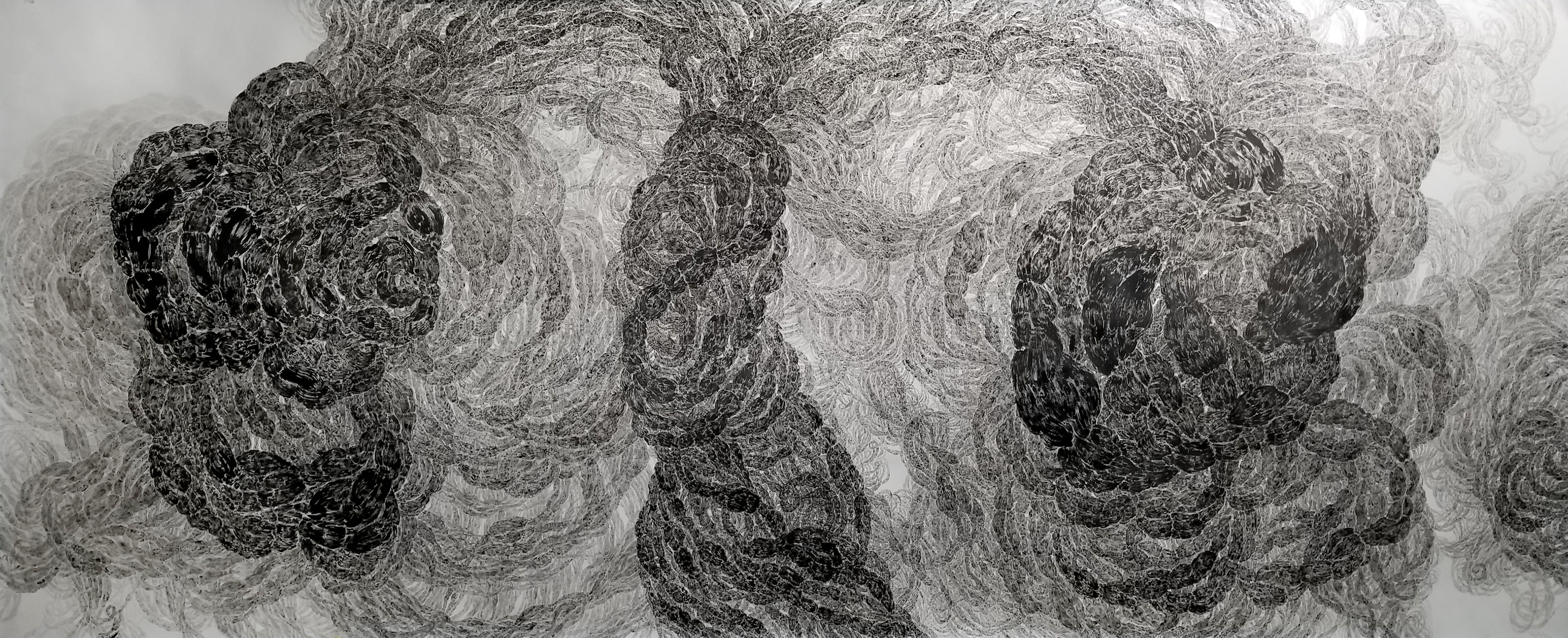 Ink on Paper,  12 x 5 feet