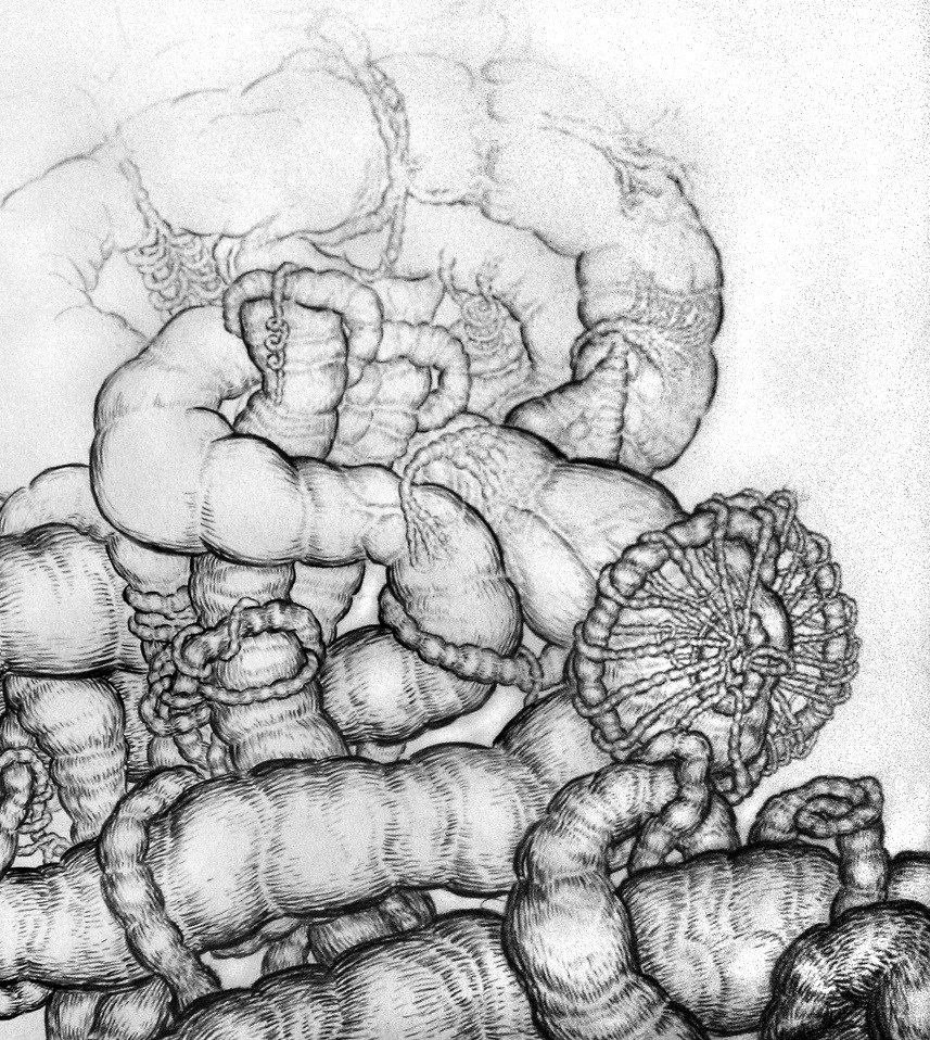 Detail, Vegetable Sermon 1